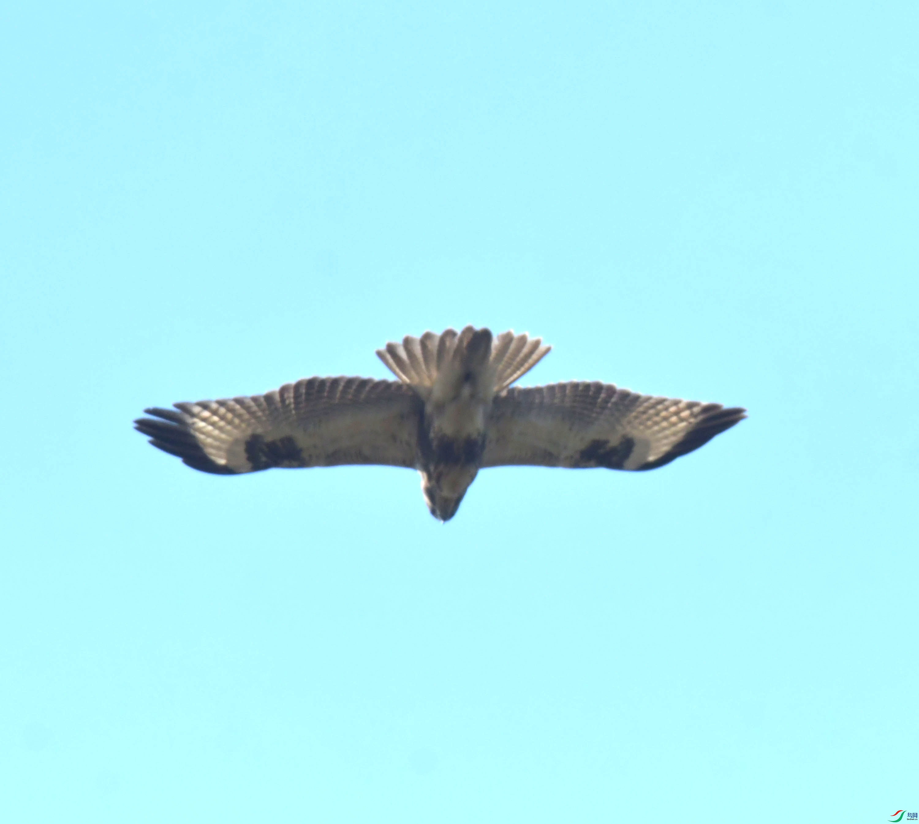 DSC_5294.JPG