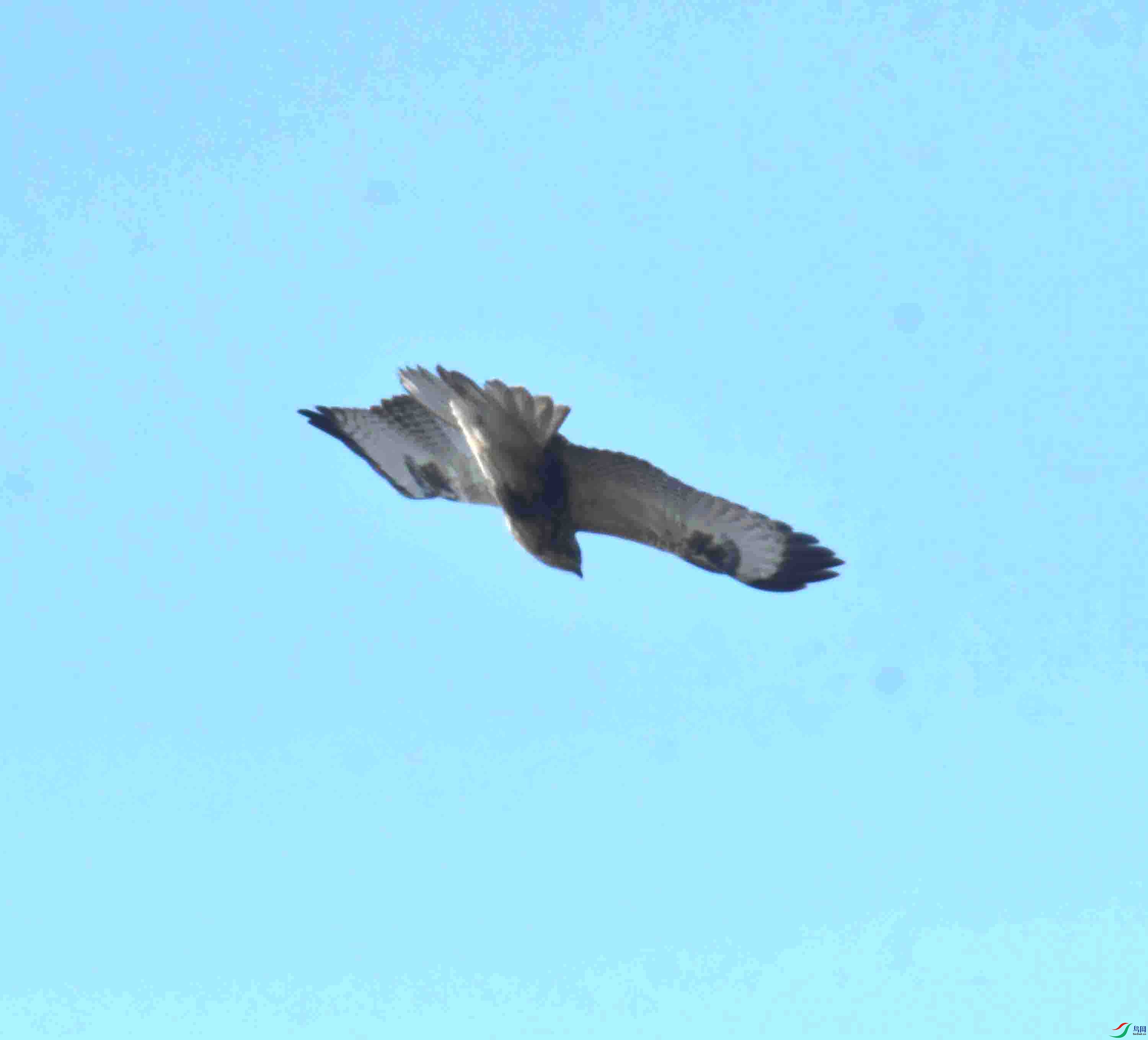 DSC_5300.JPG