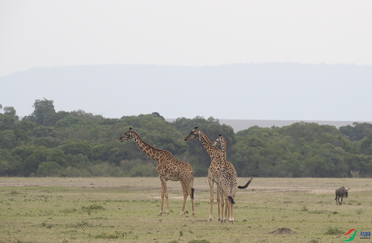 ����¹ (2).jpg