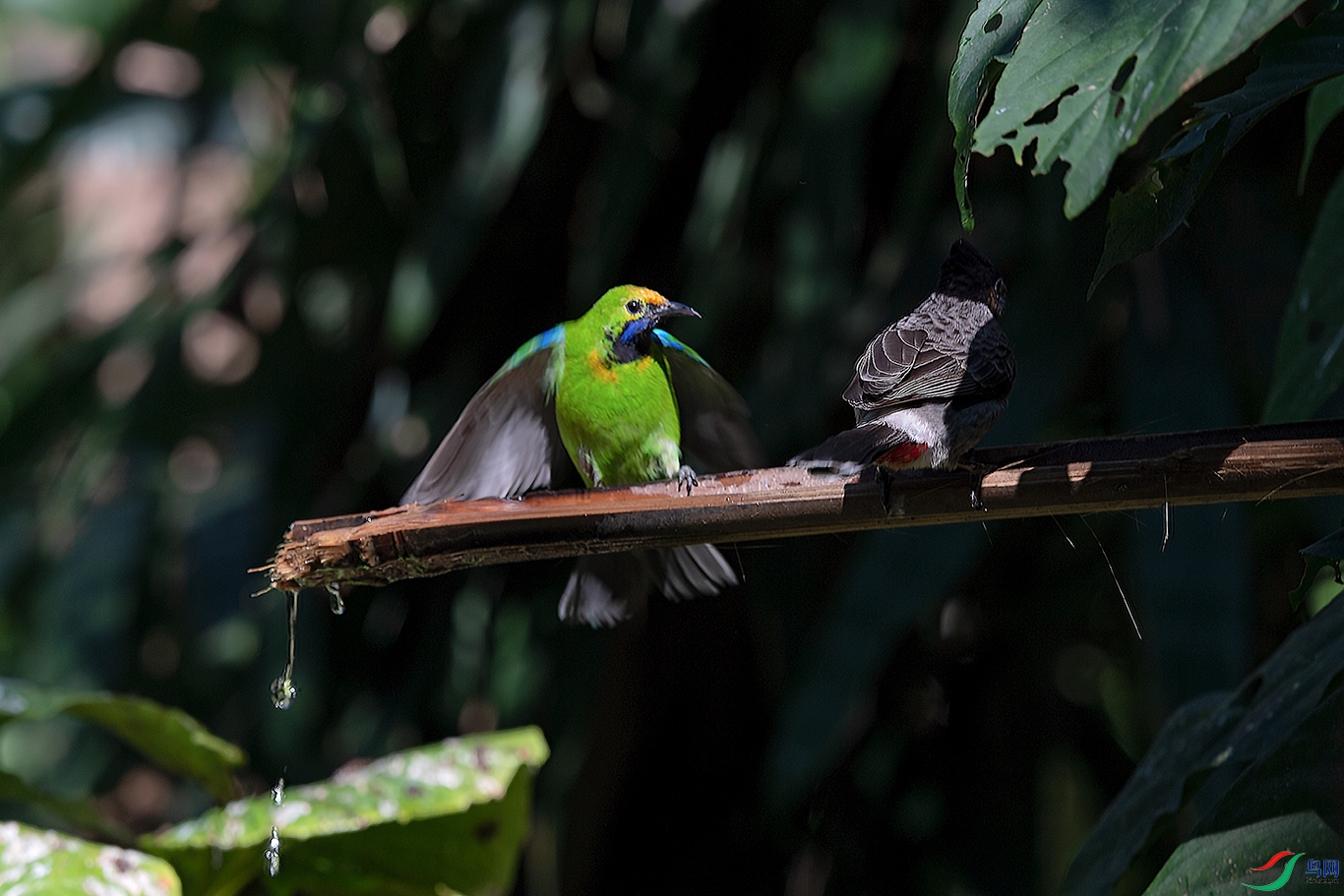DSC_6548_DxOa.jpg