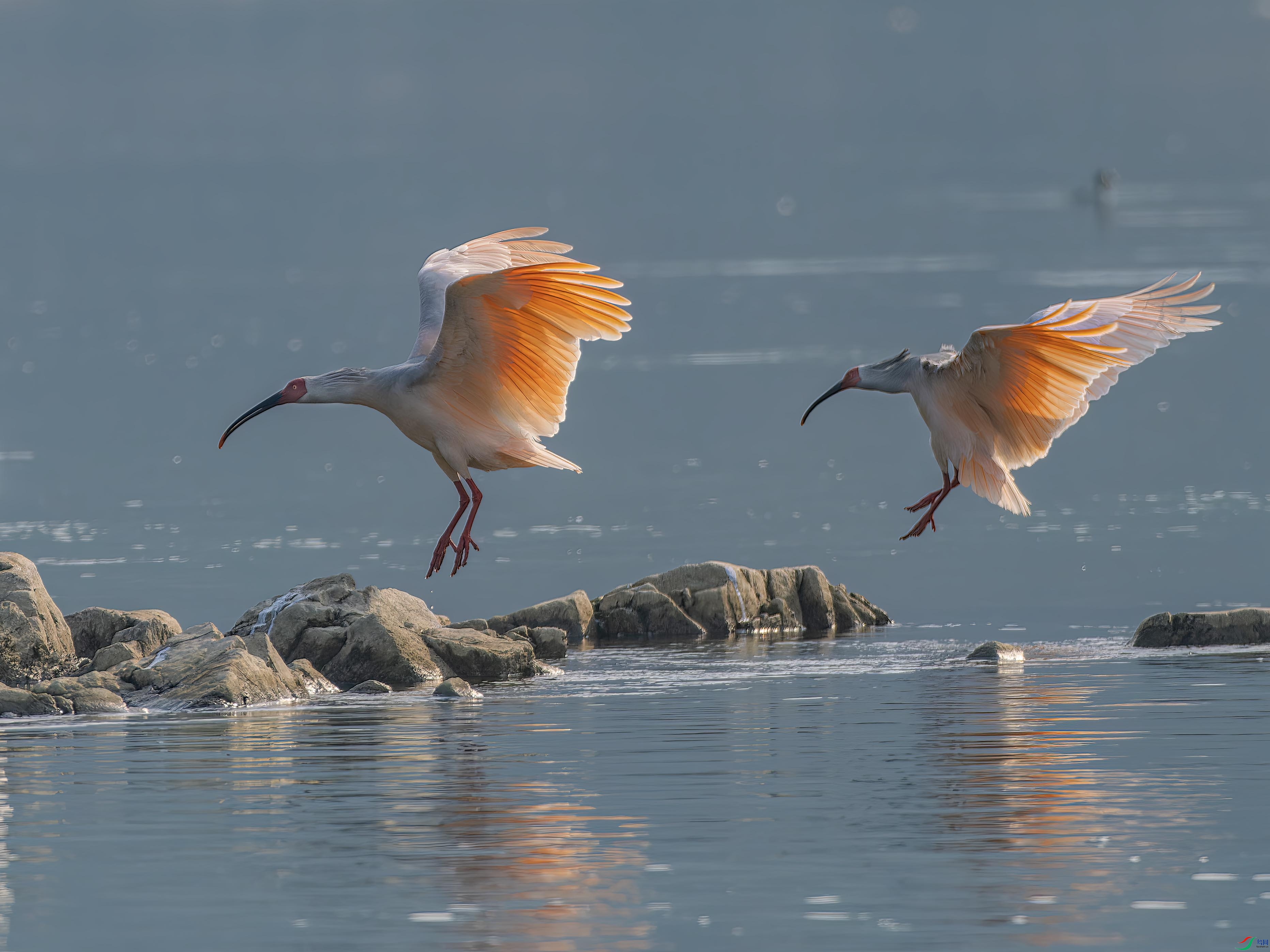 P1312017-ORF_DxO_DeepPRIME-1 ����.jpg