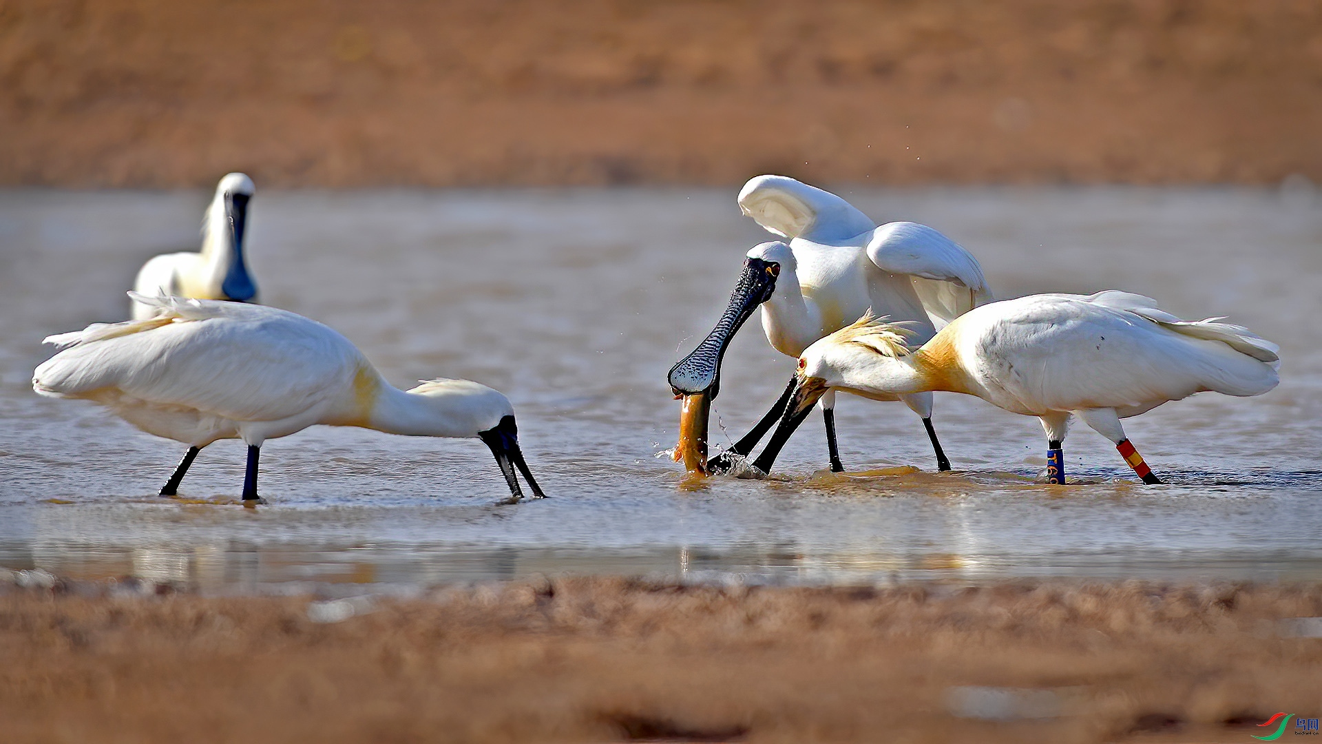 DSC_2214qaqq.jpg
