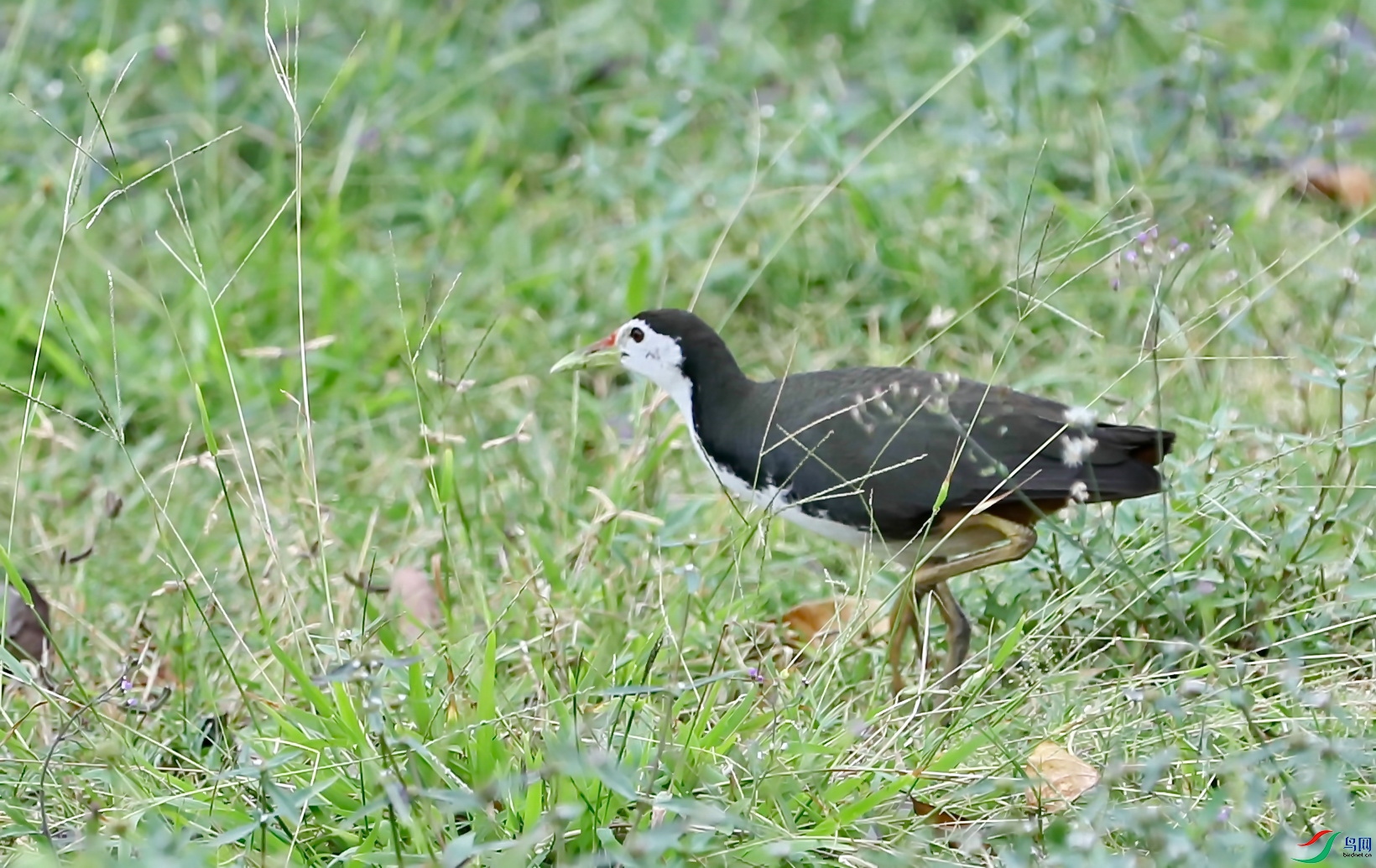 BK2A8280.JPG