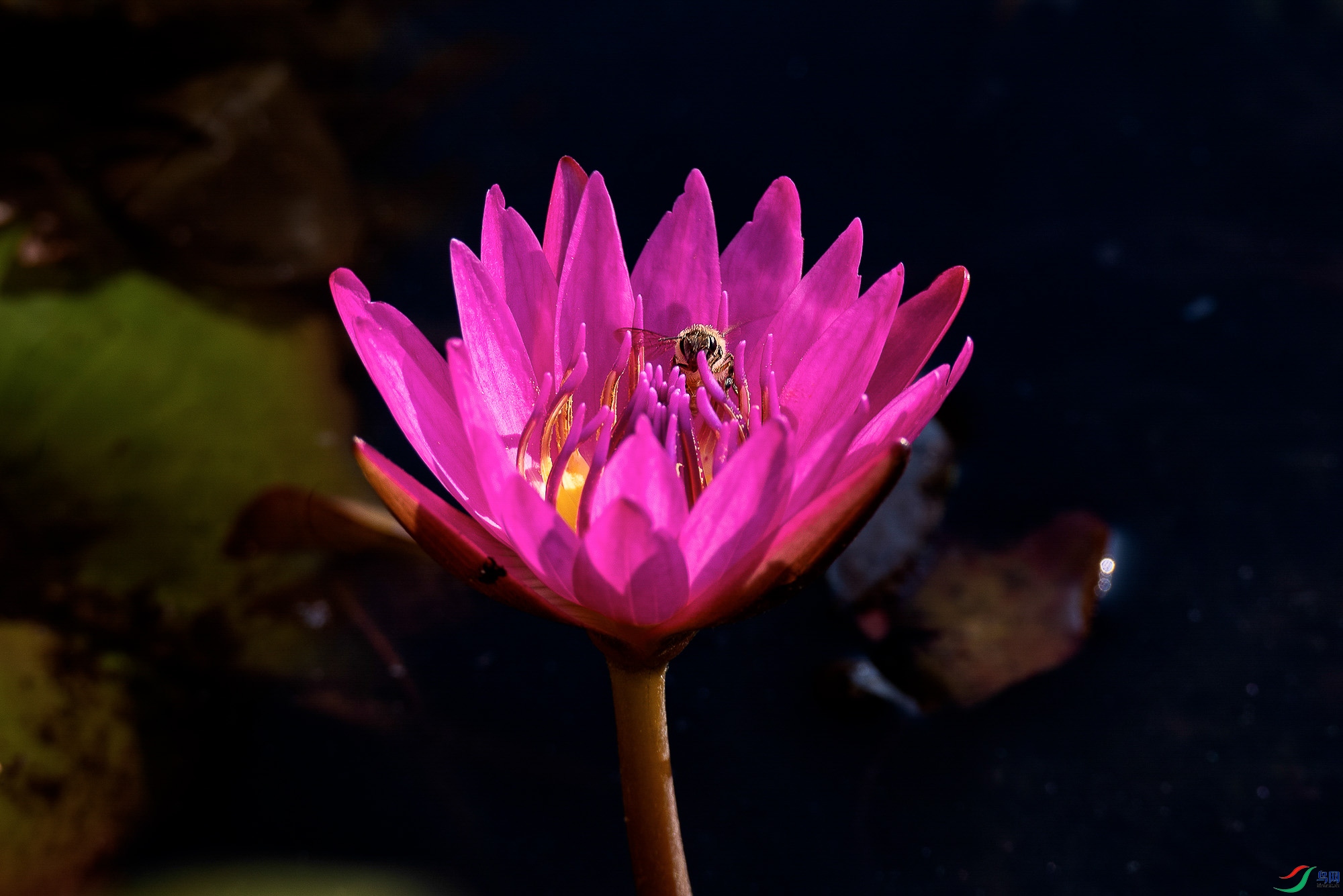 DSC_2630.jpg