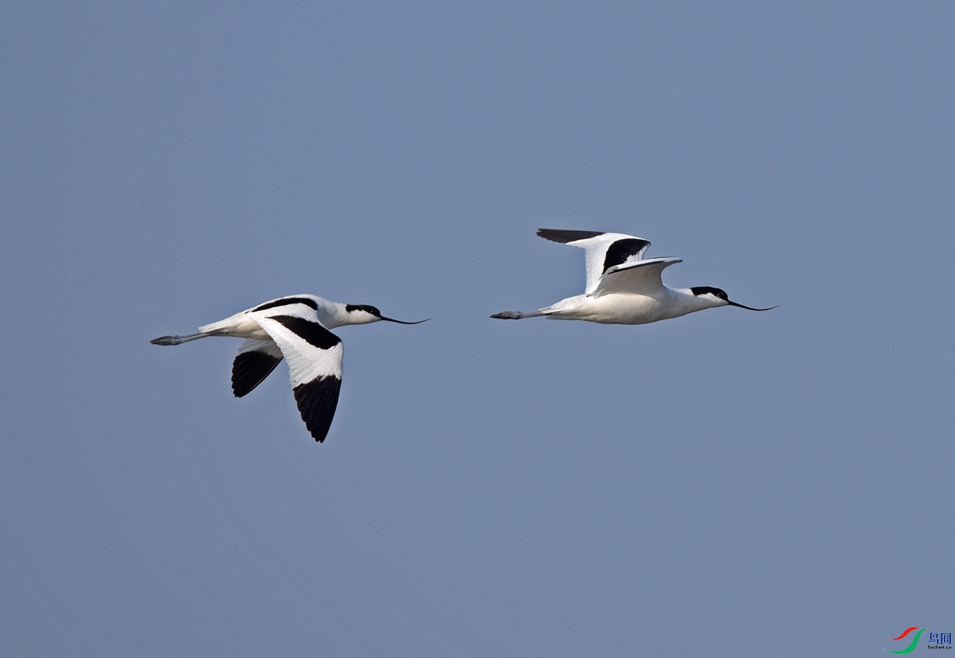 DSC_5026f_��ͼ��.jpg