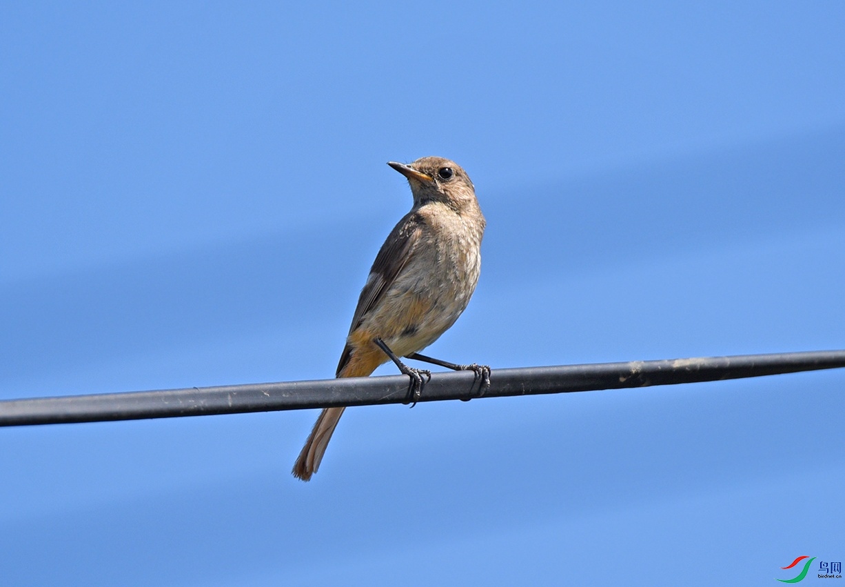 DSC_4159.jpg