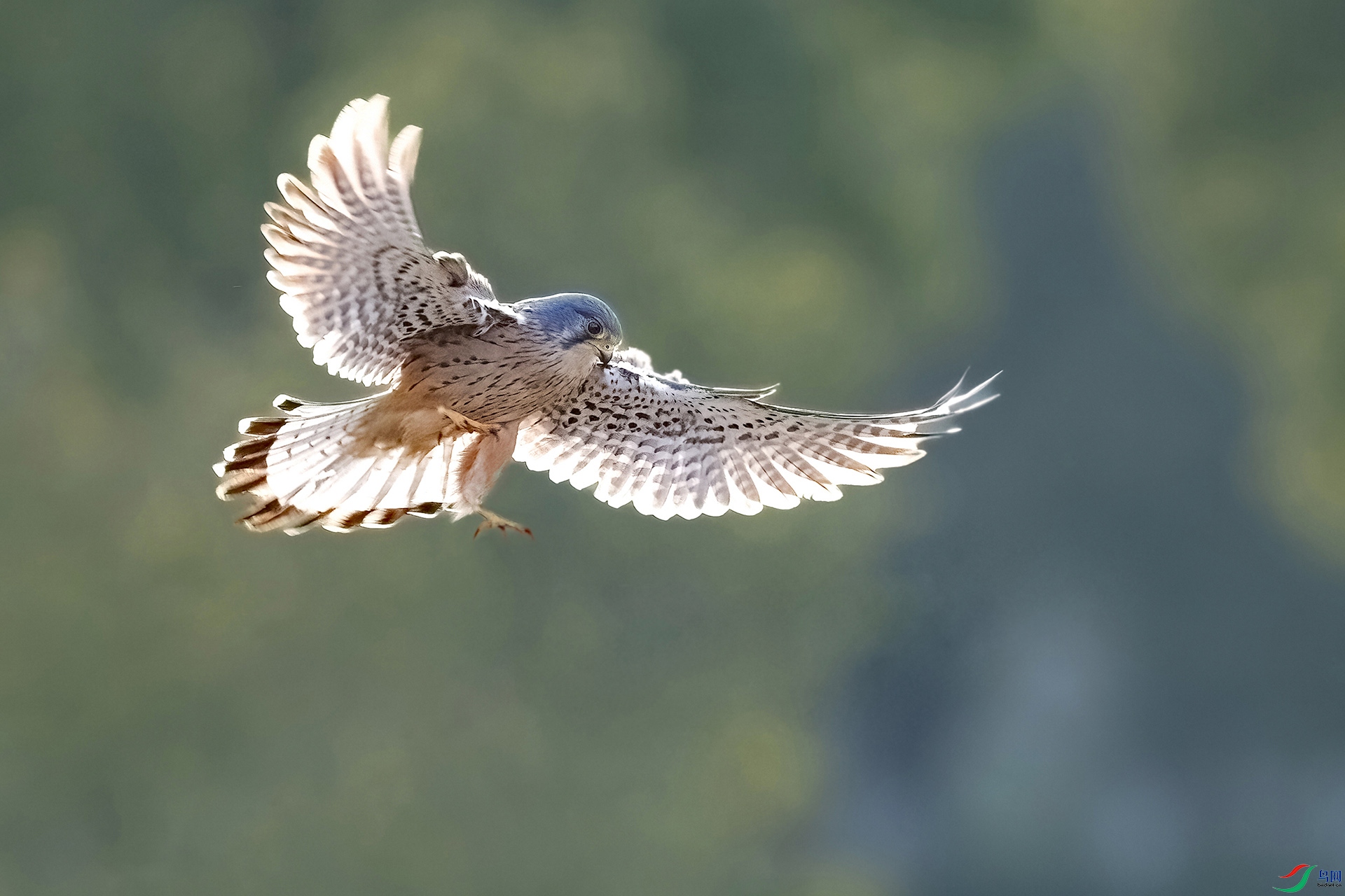 _F3I9924-3 ����.jpg