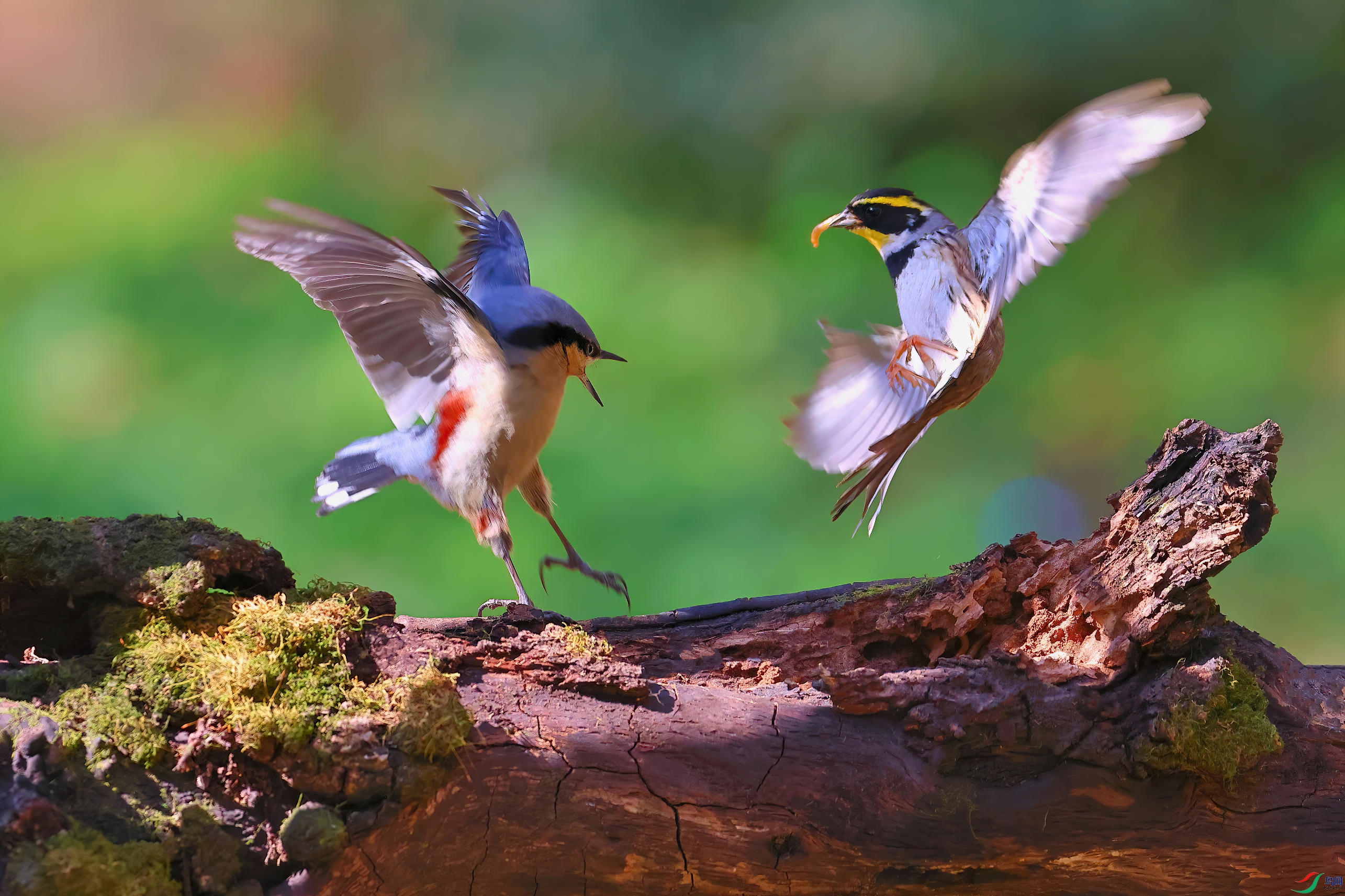 �ƺ��c����ͨ�[