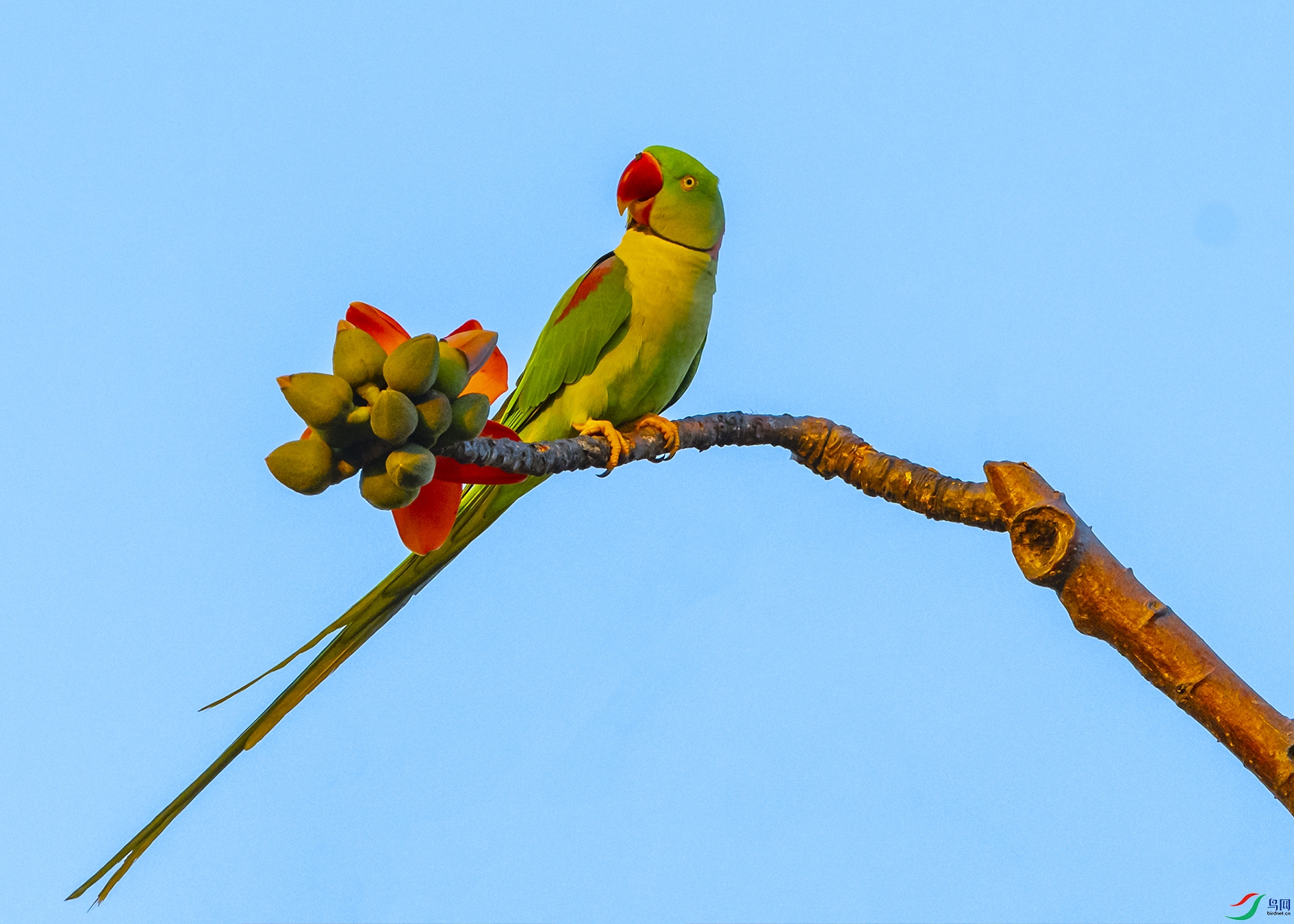 7840 ����.jpg