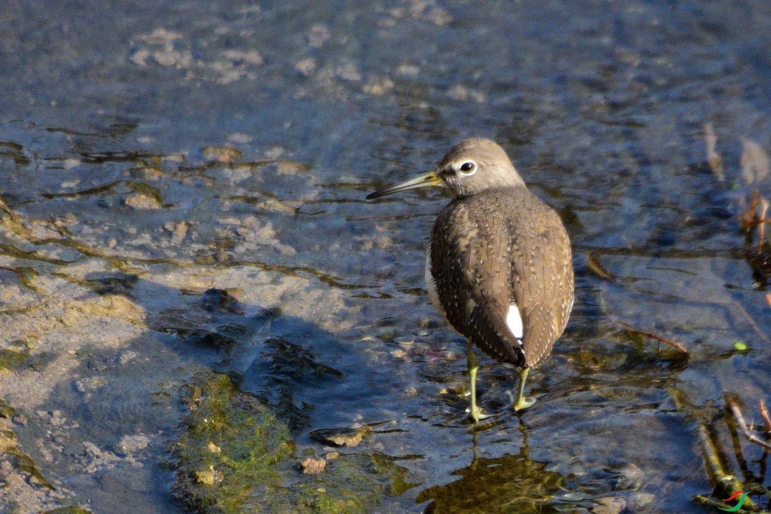 DSC_2814.JPG