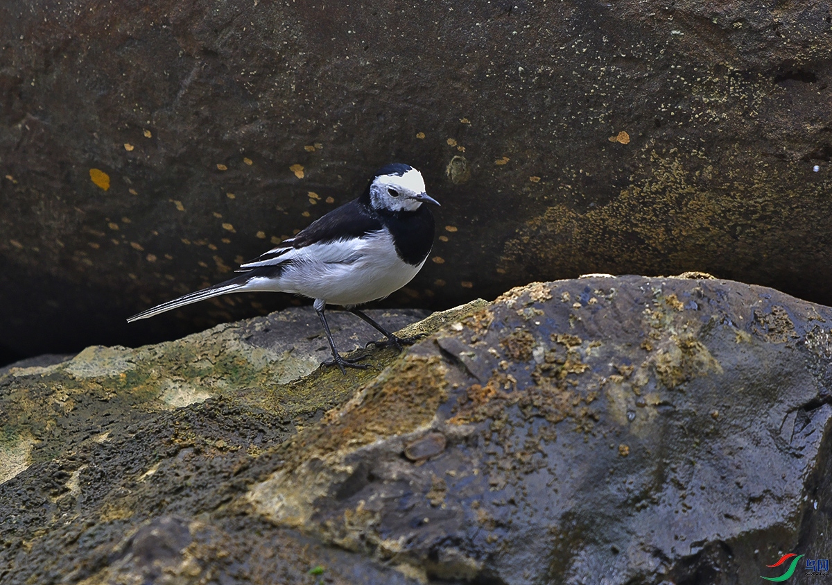 DSC_0839.JPG