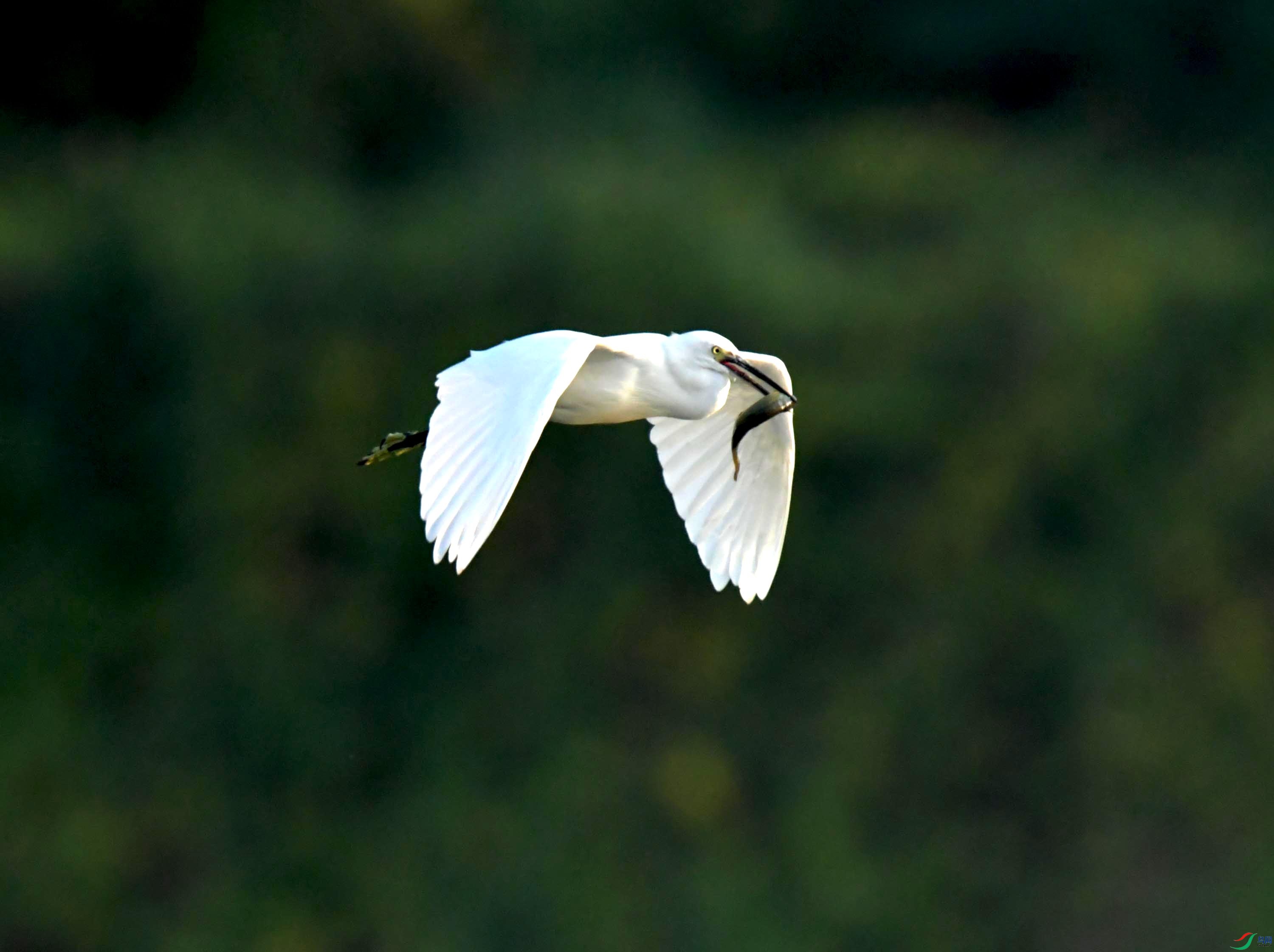 DSC_0744.JPG