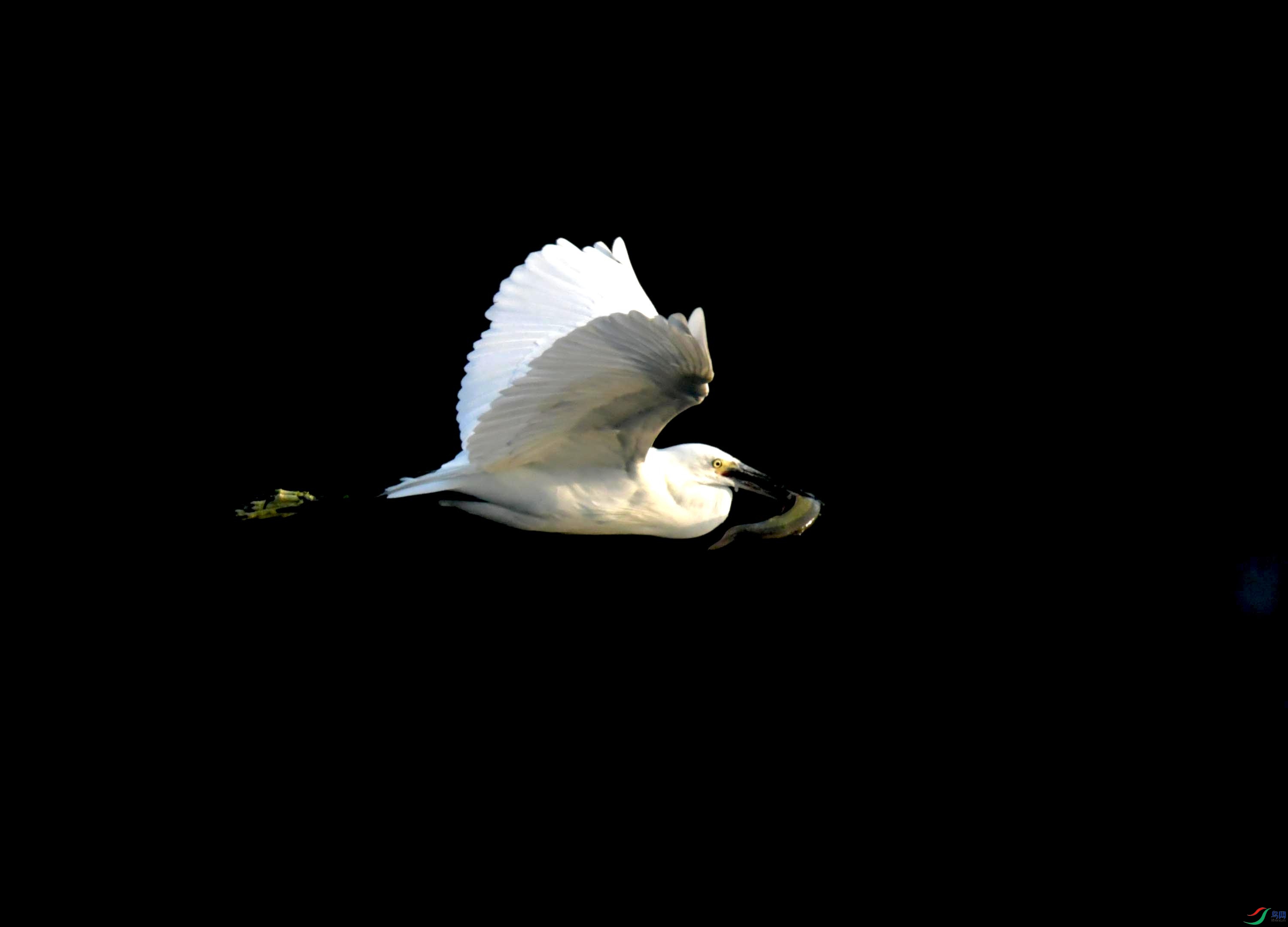 DSC_0751.JPG