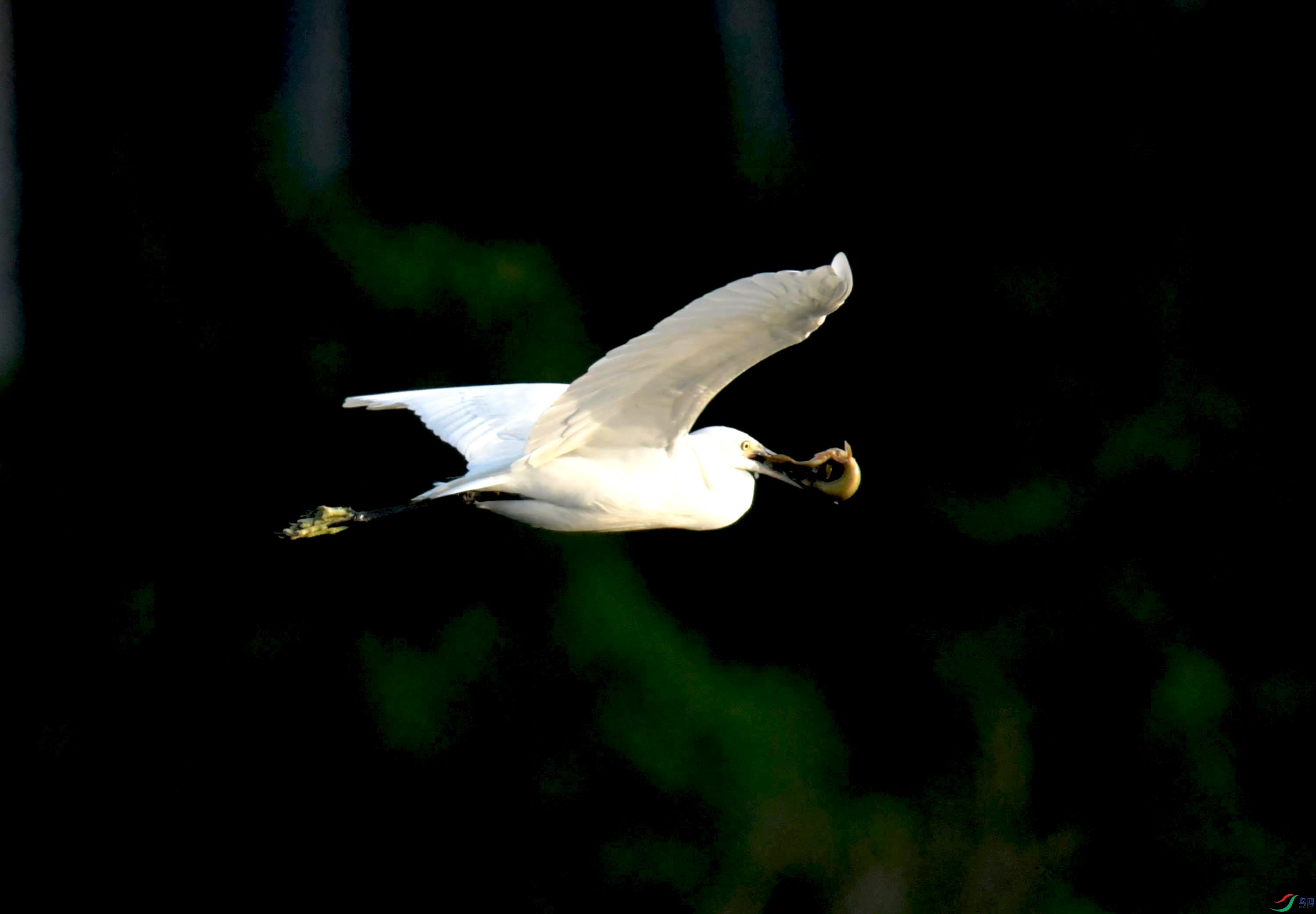 DSC_0754.JPG