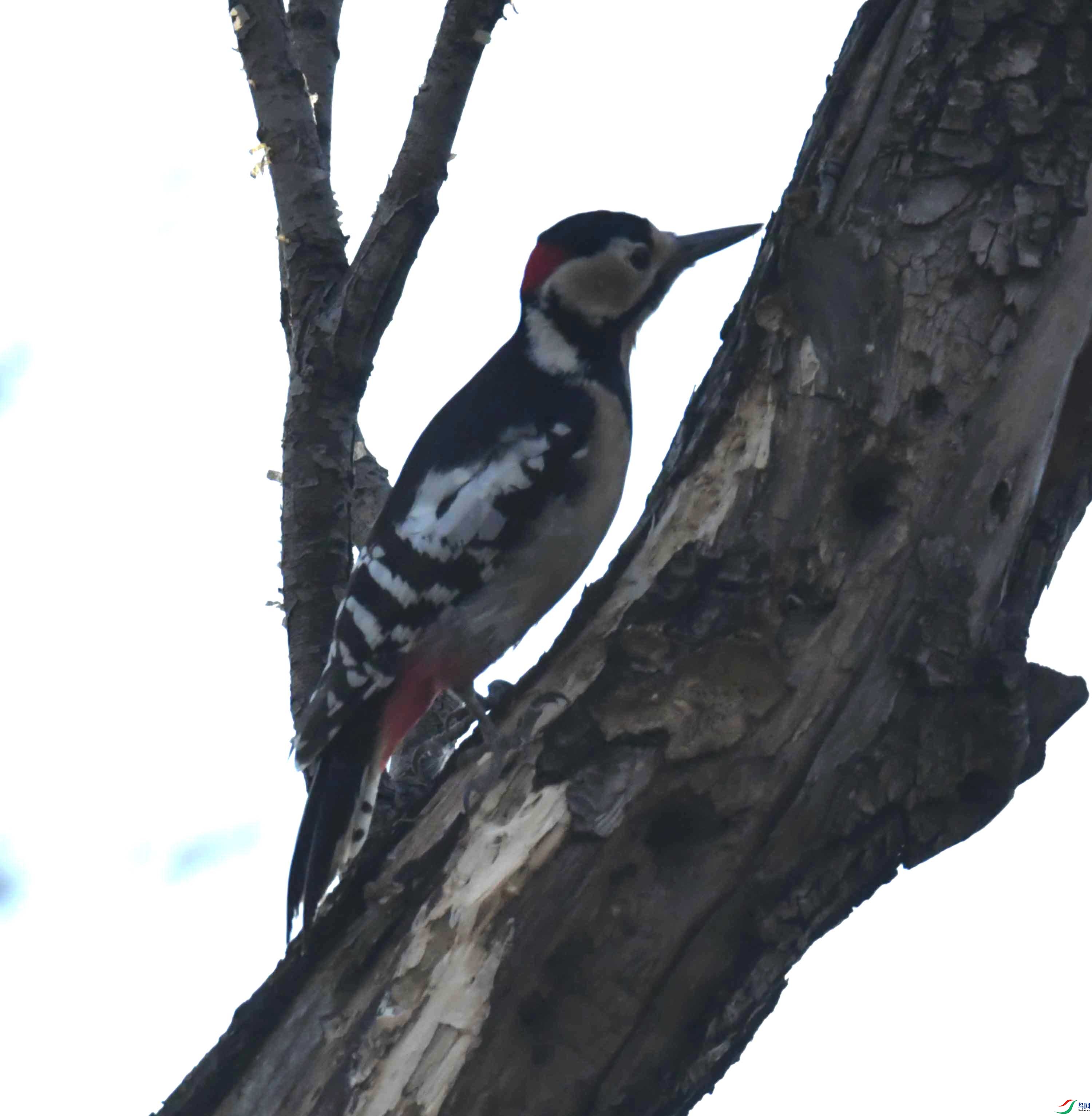 DSC_0571.JPG