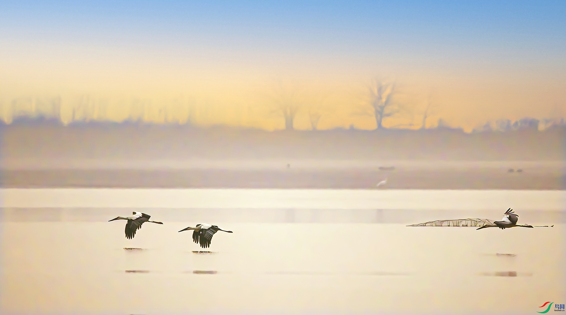 _07A5360-D1 .jpg