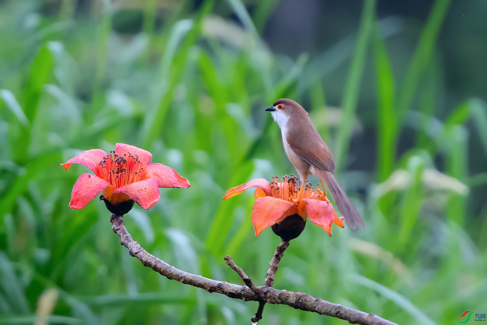 DSC_0871_DxOa.jpg