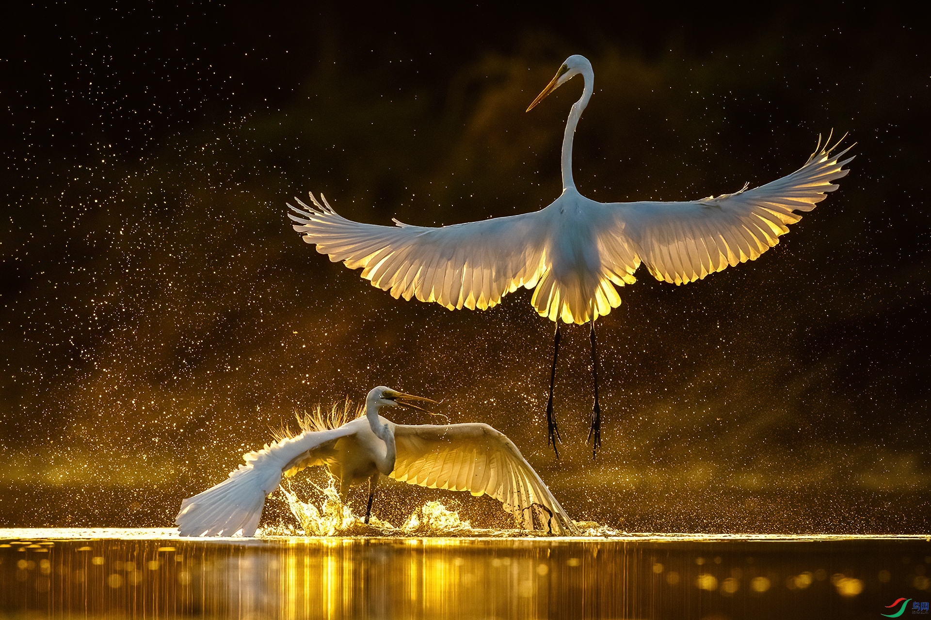 AO4I9837-�༭ ����.jpg