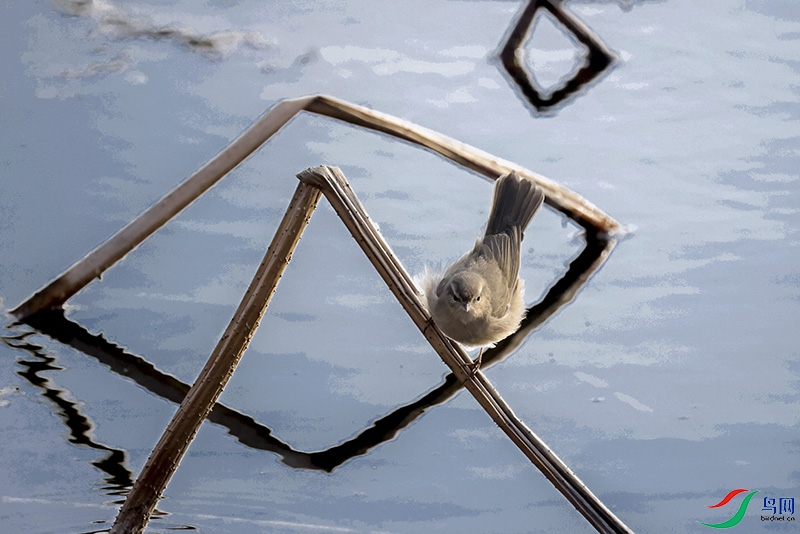 A28A2442-.jpg