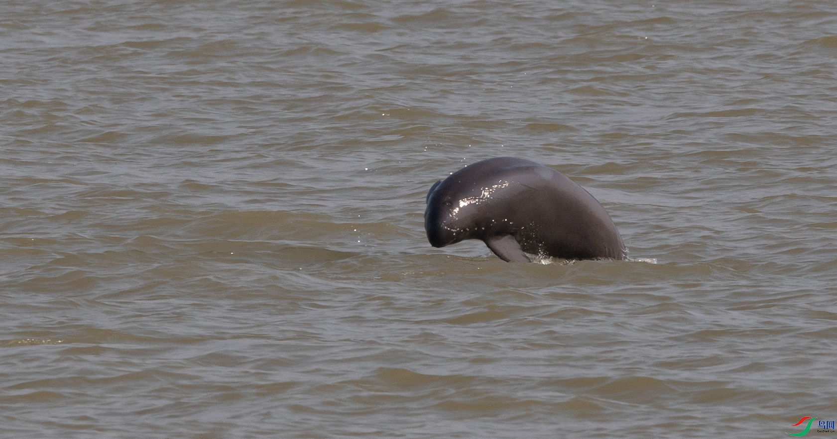 DSC_7574.jpg