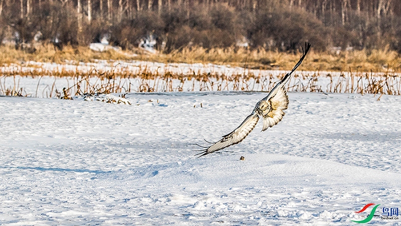 0A6A8010 ����.jpg