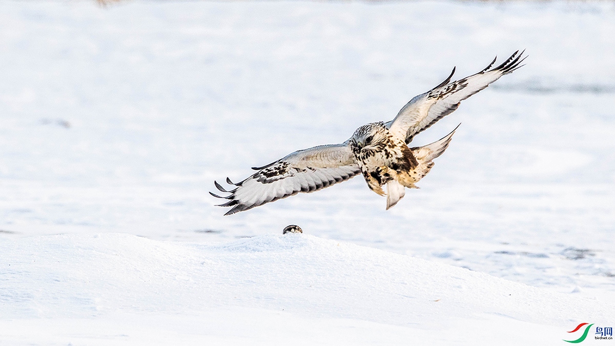 0A6A8591 ����.jpg