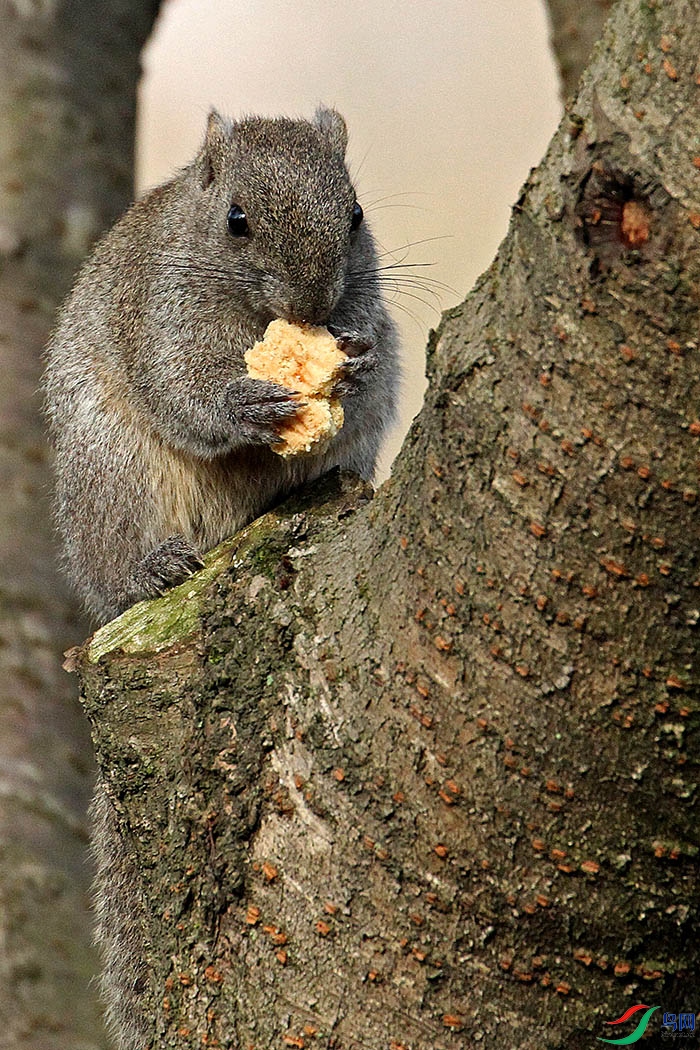 IMG_5718.jpg