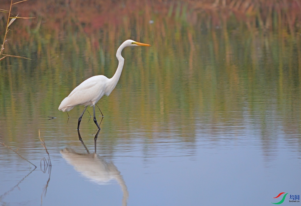 DSC_0151.jpg