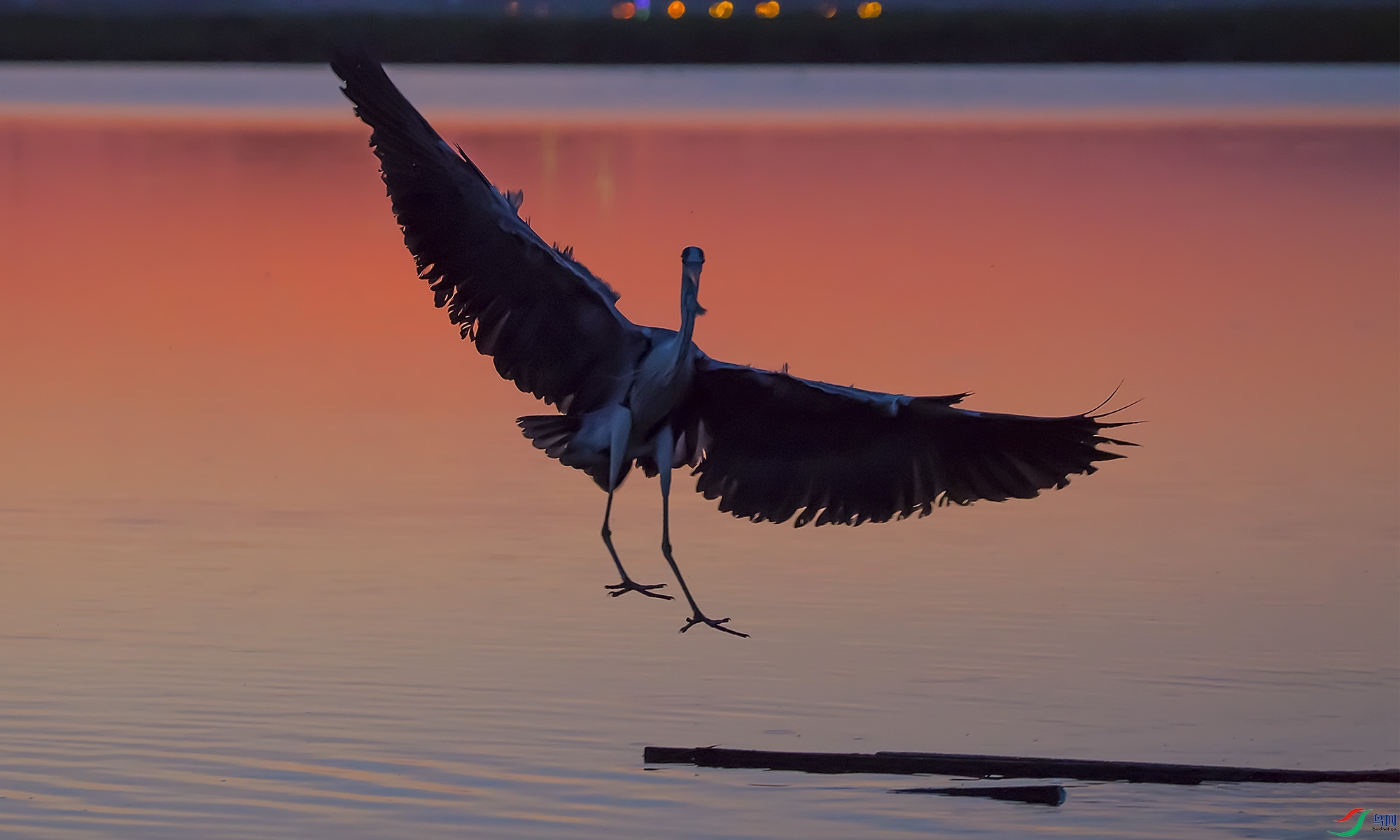 DSC_0243.jpg