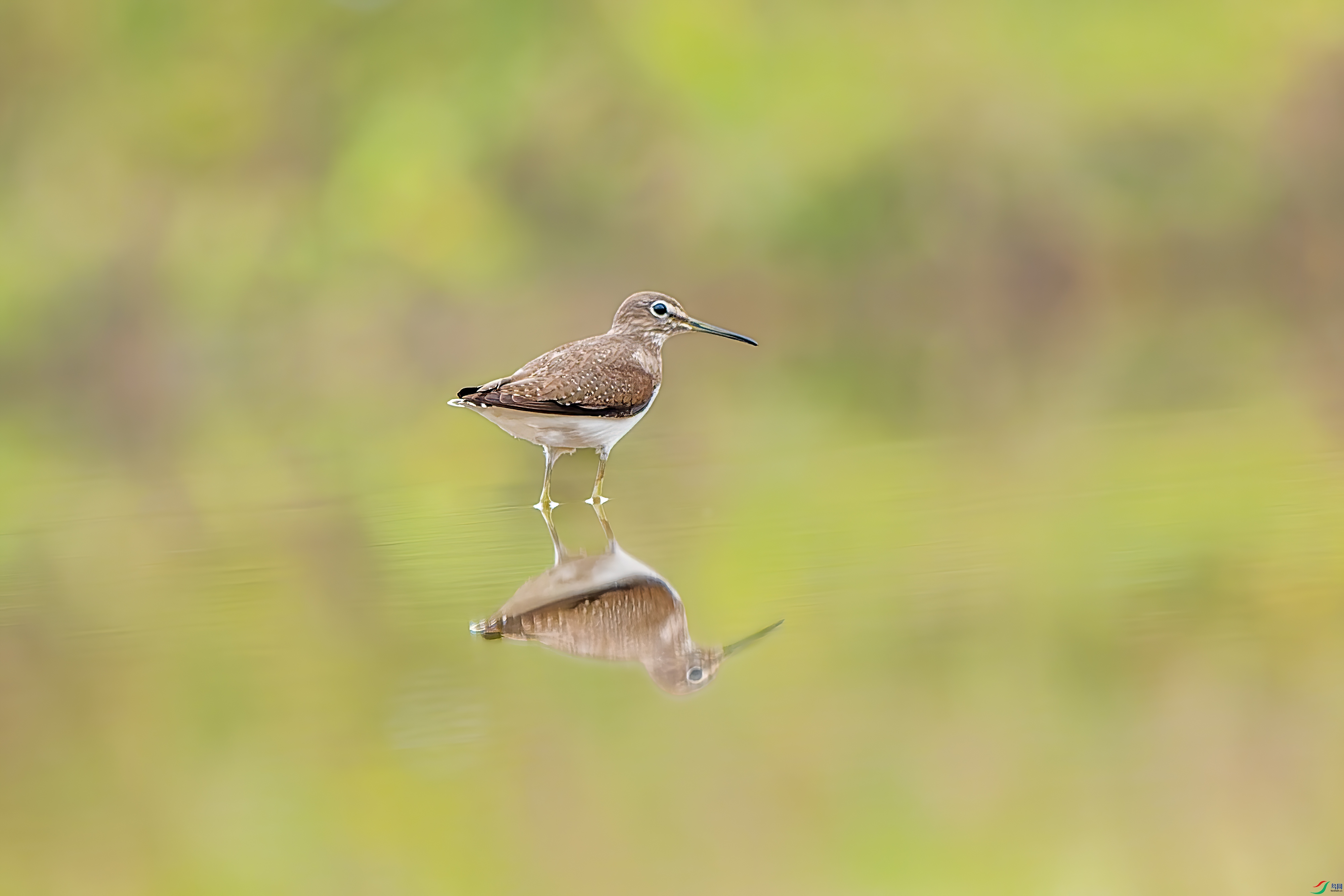 DSC_7398-px.jpg