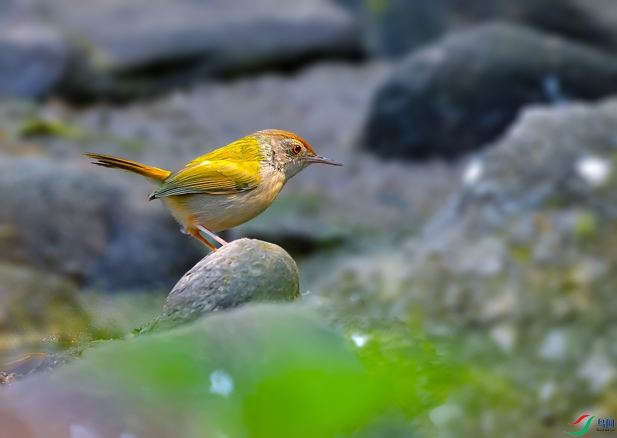 DSC_6327.JPG