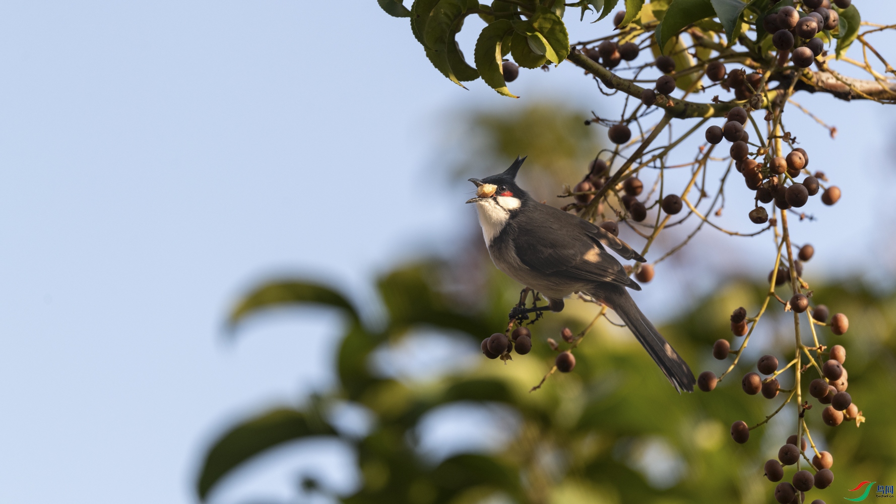 DSC_6941_1.jpg