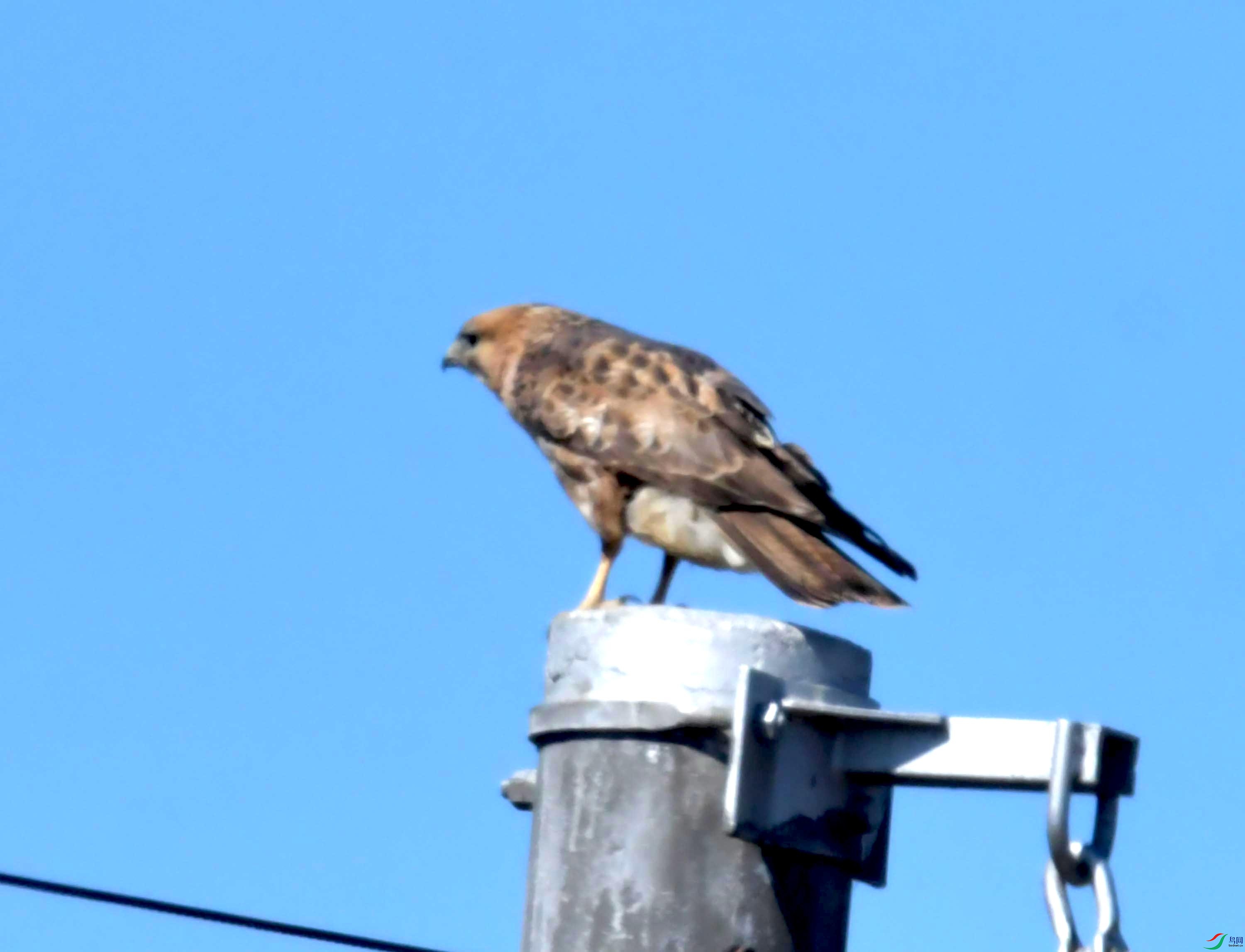 DSC_8789.JPG
