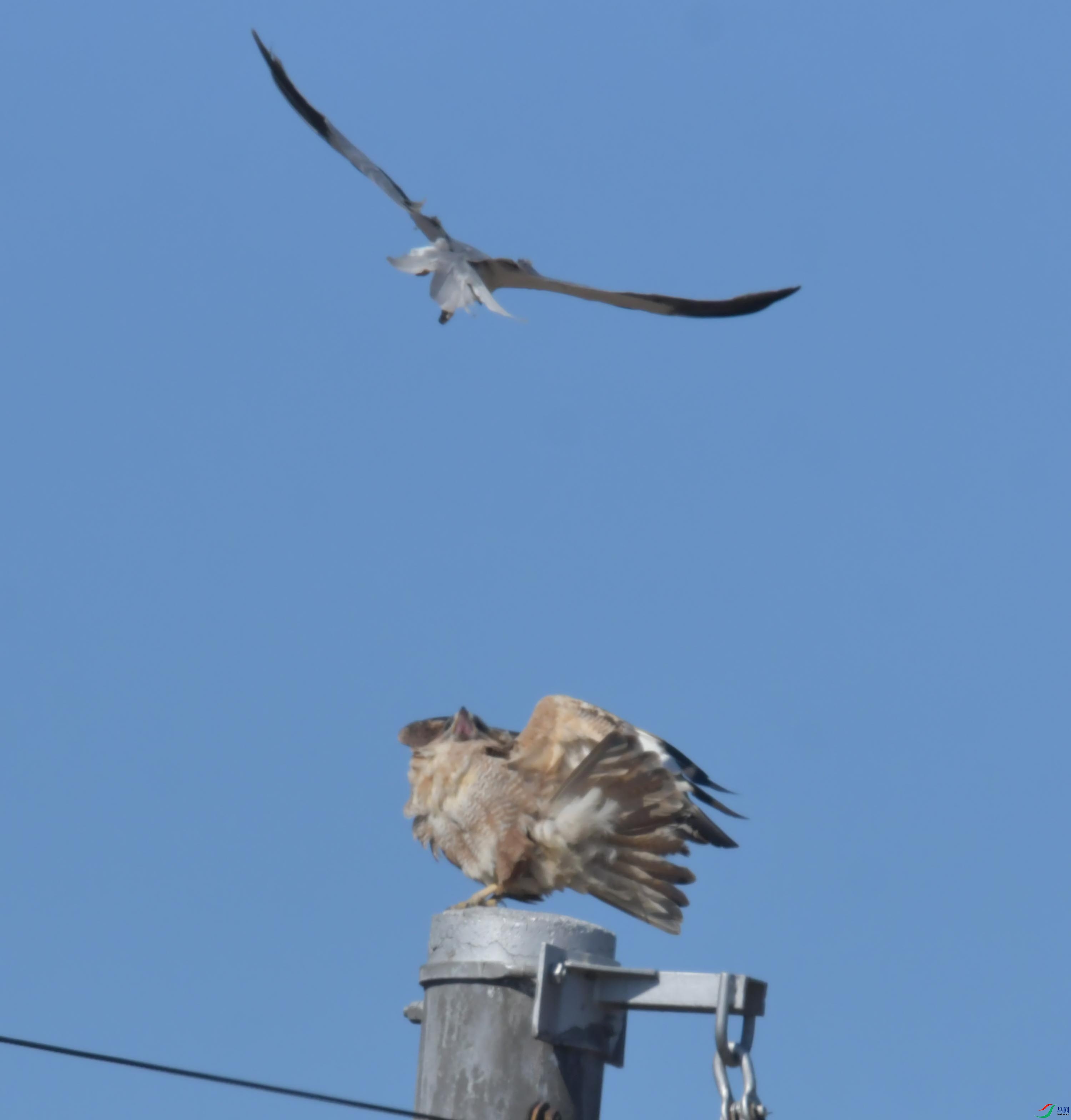 DSC_8793.JPG