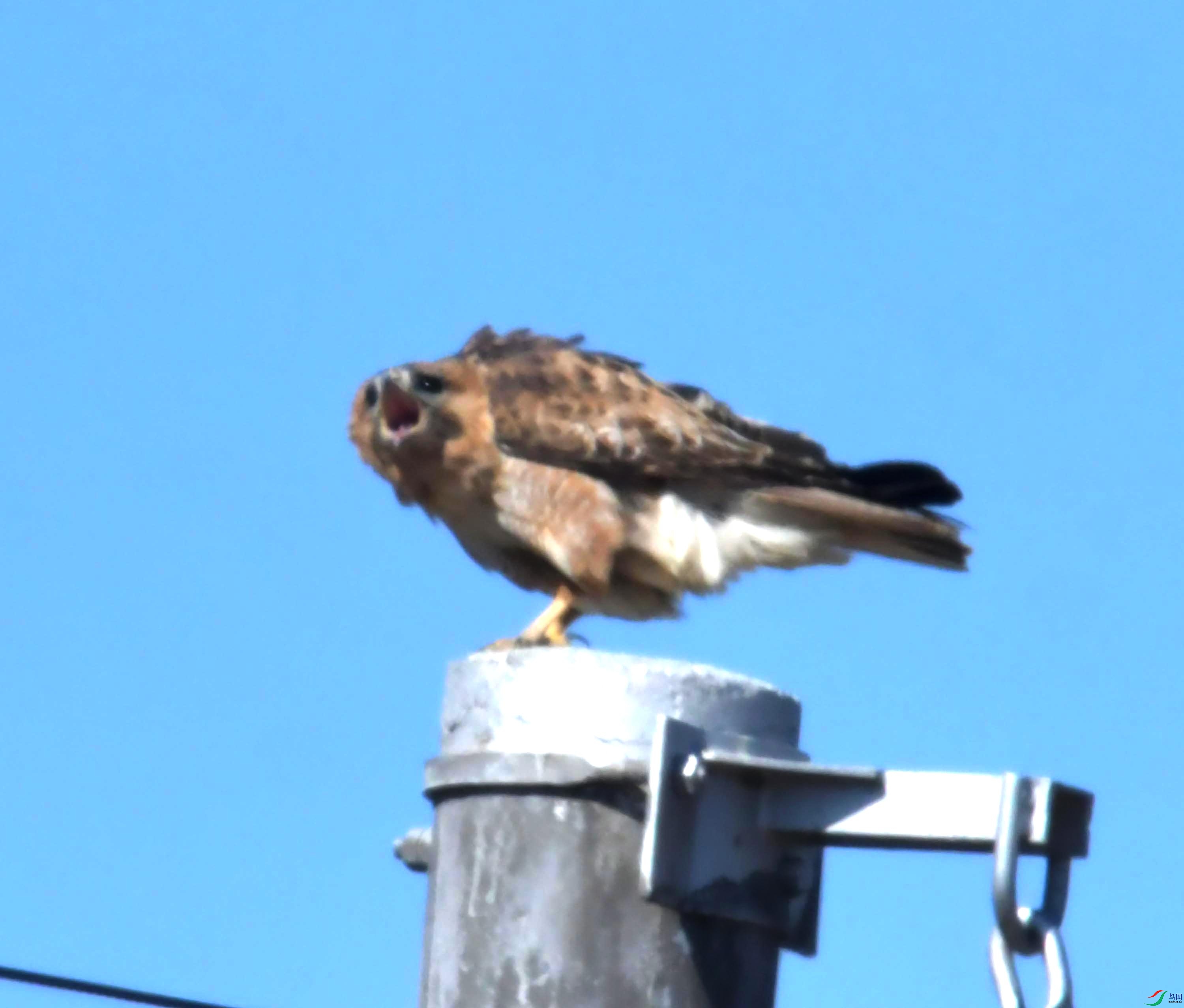 DSC_8792.JPG
