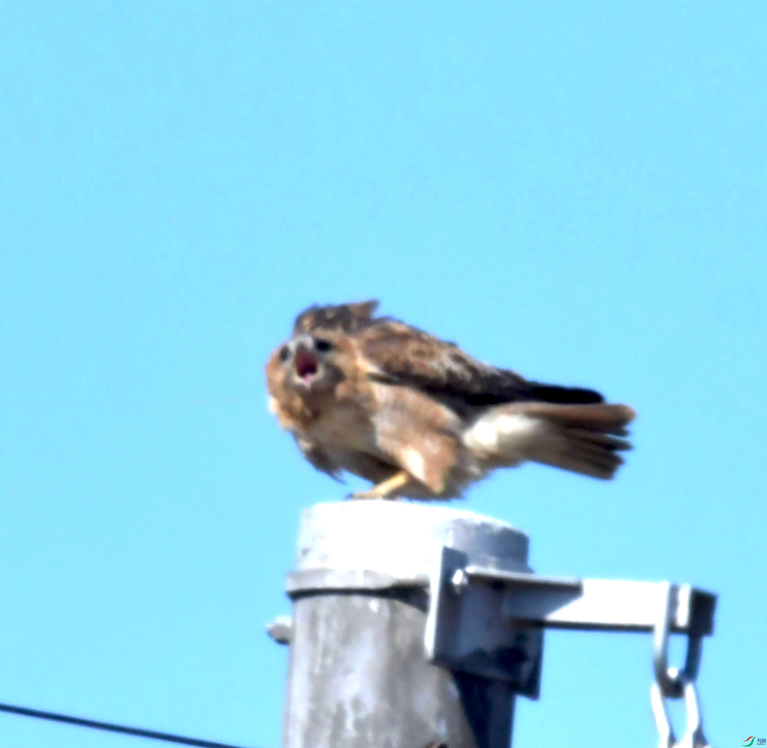 DSC_8805.JPG