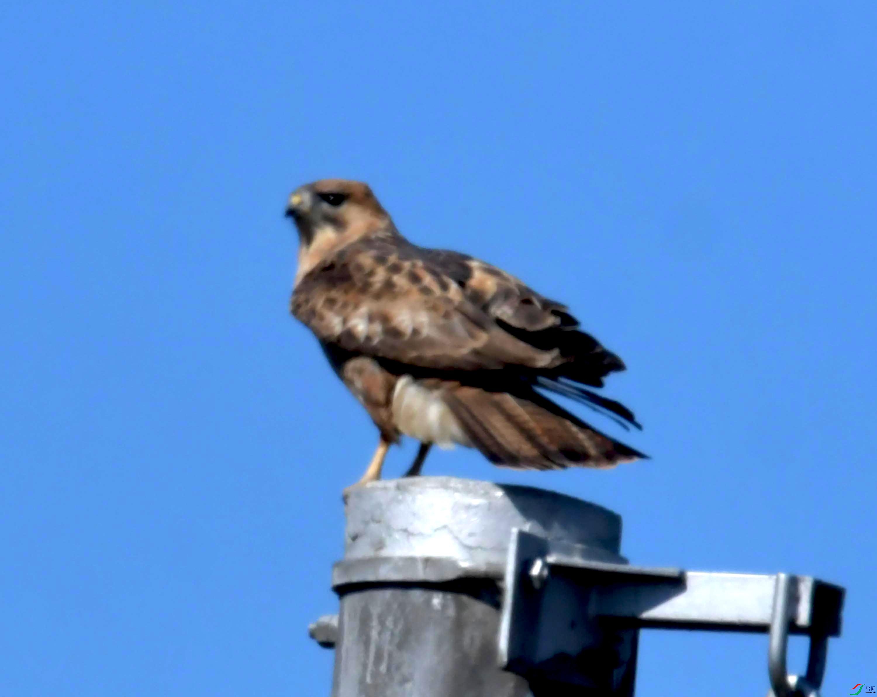 DSC_8816.JPG