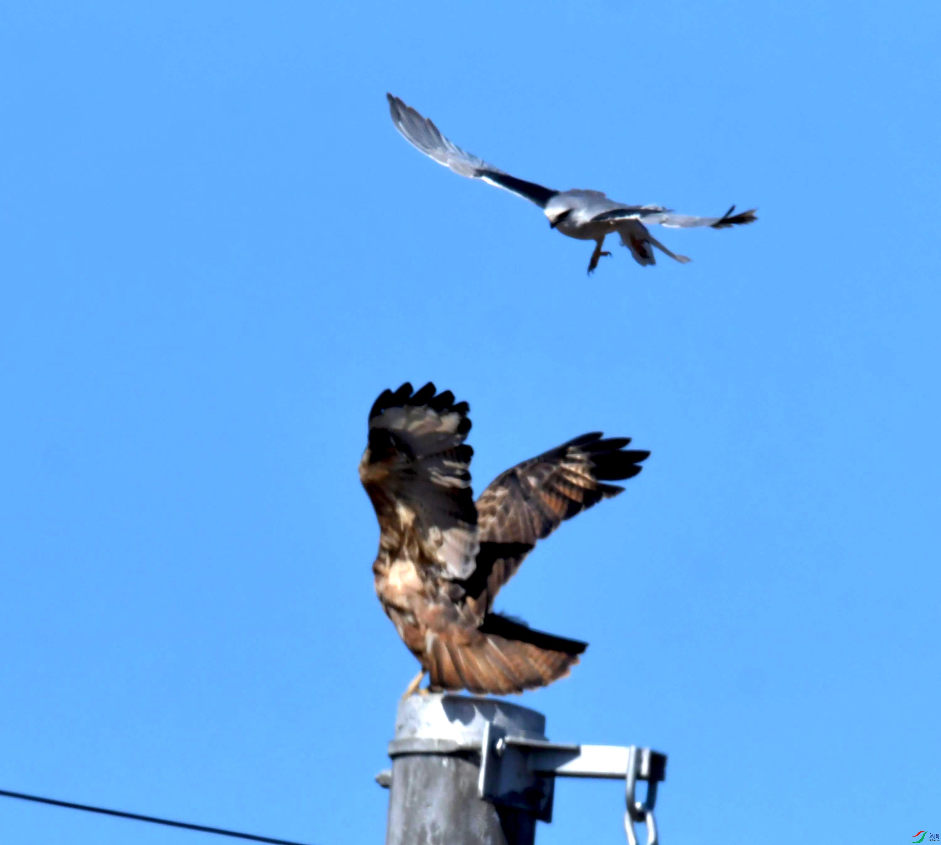 DSC_8814.JPG