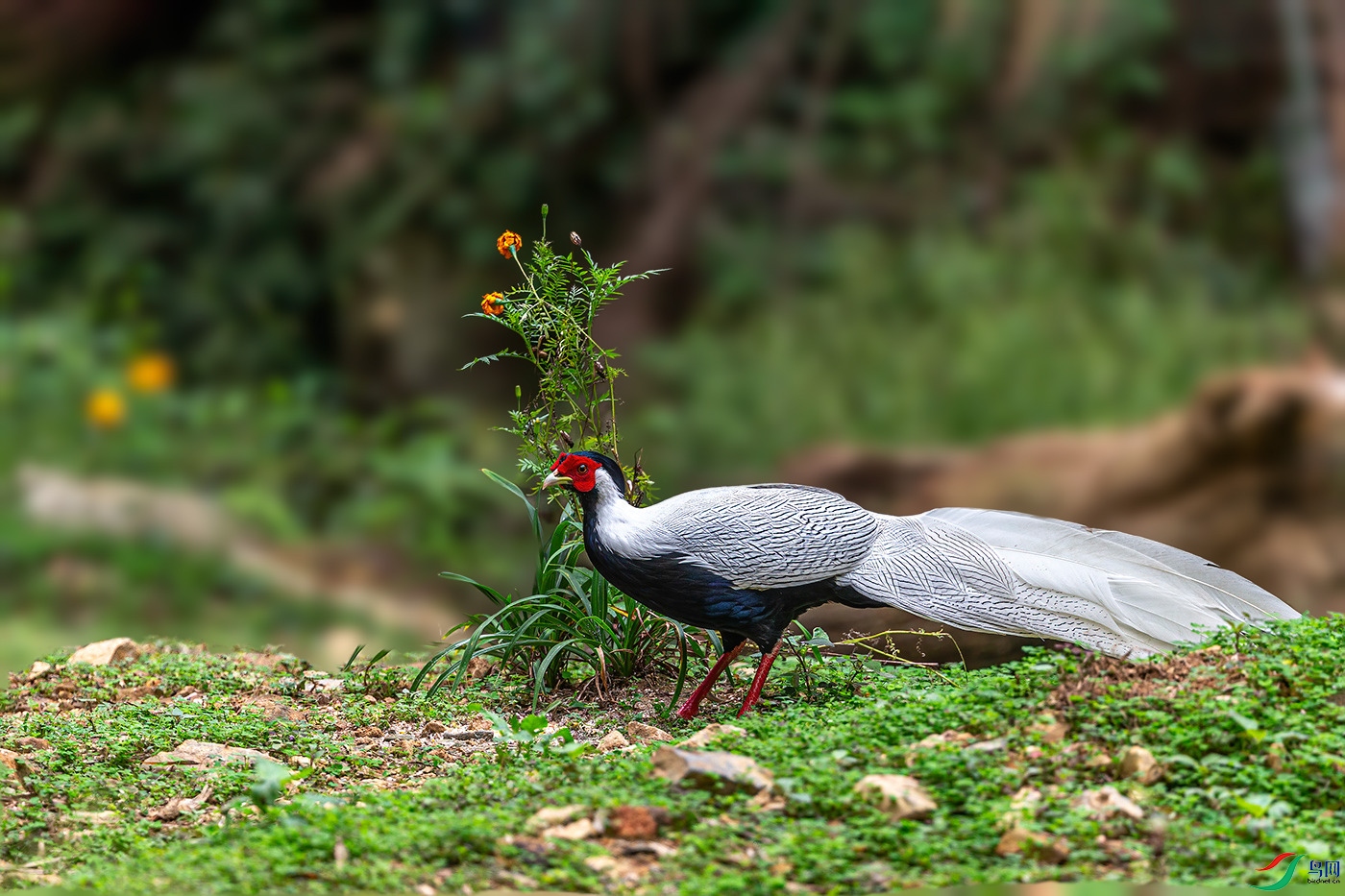 ���а���_9070163-mask-composite.jpg