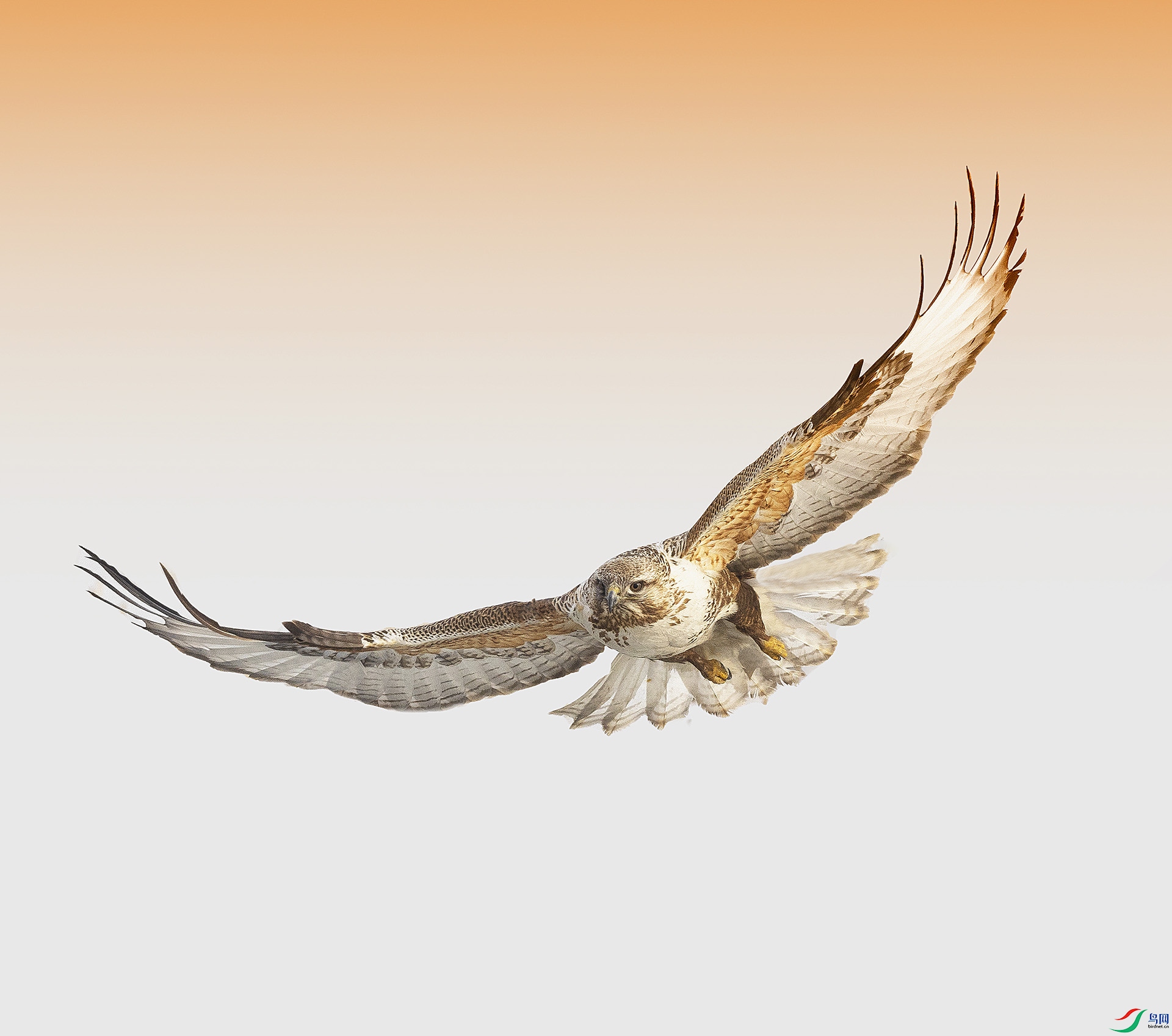 019A7292 ����.jpg