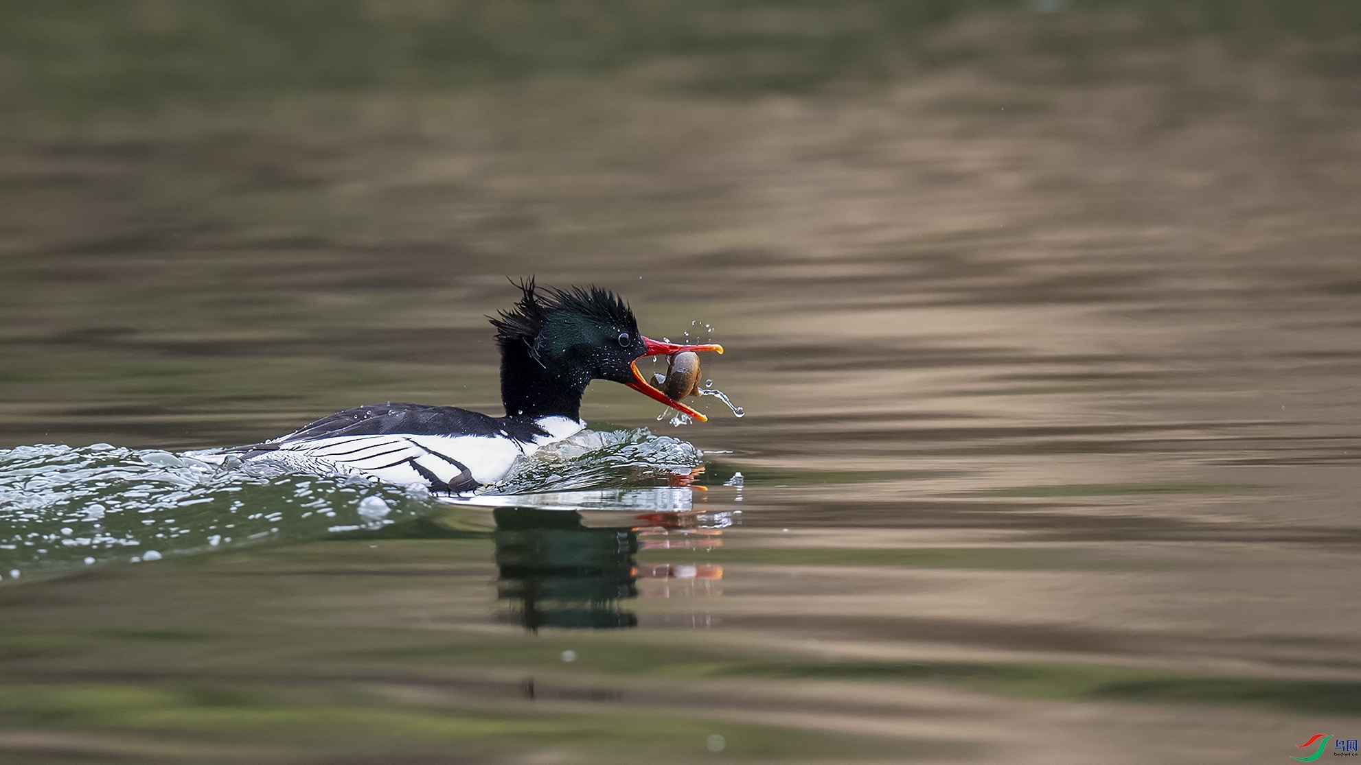 _DSC9124-1.jpg