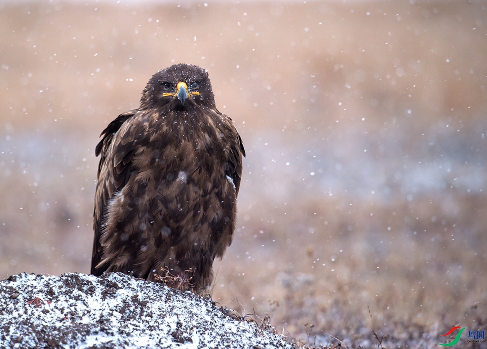 Photo taken on 2015-10-21 08-01-56.jpg