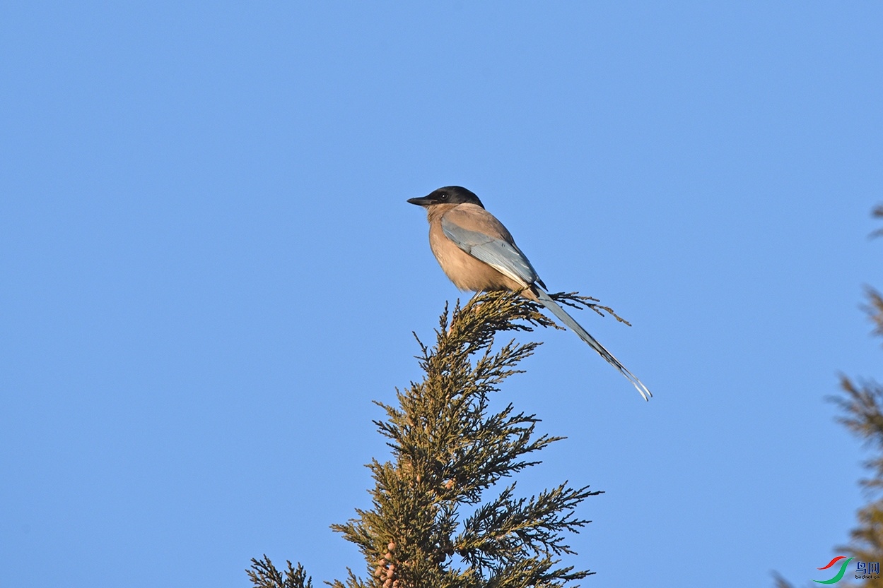 DSC_2256.jpg