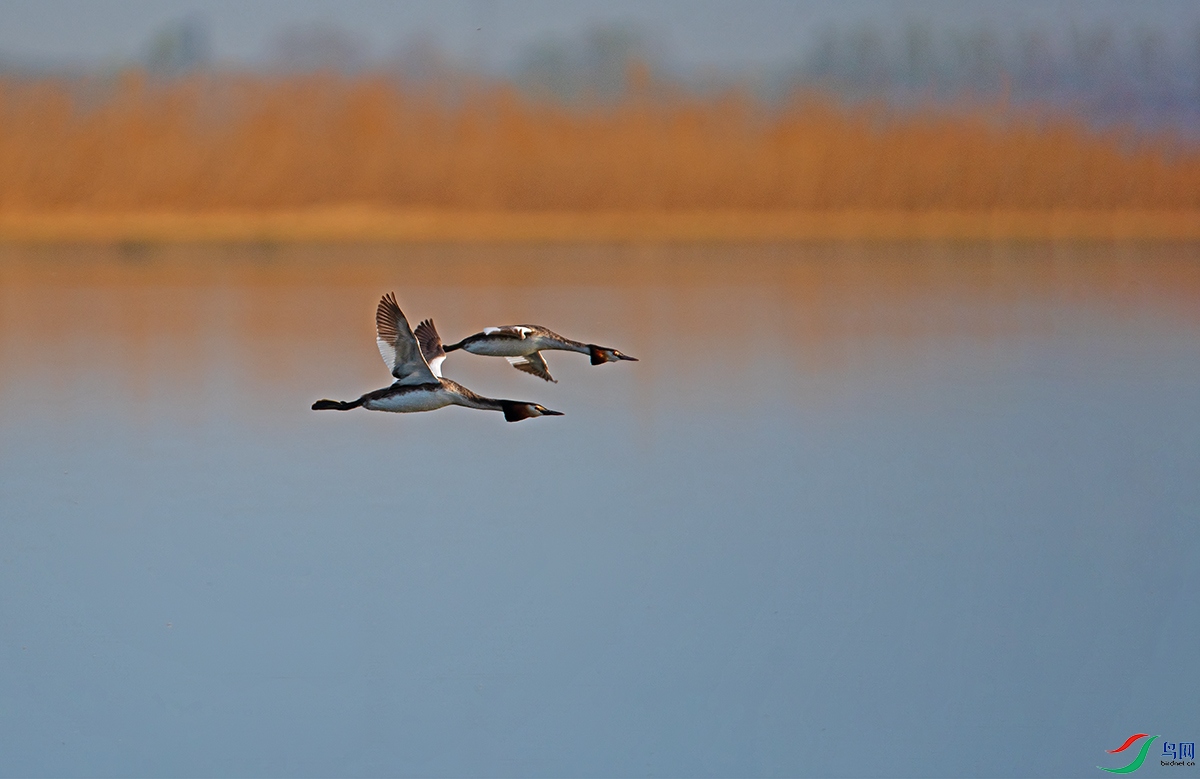 20200502 (95).jpg