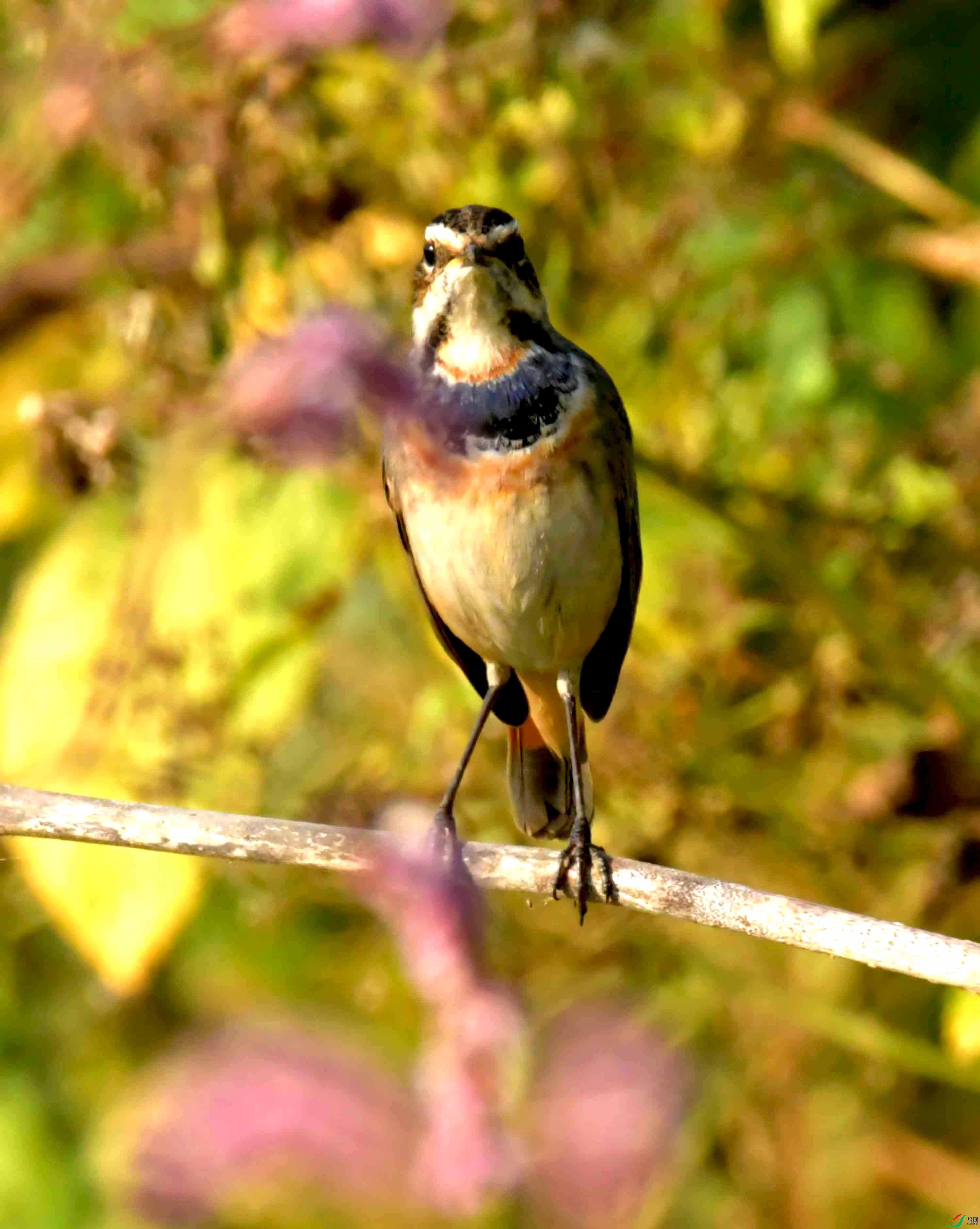DSC_0933.JPG