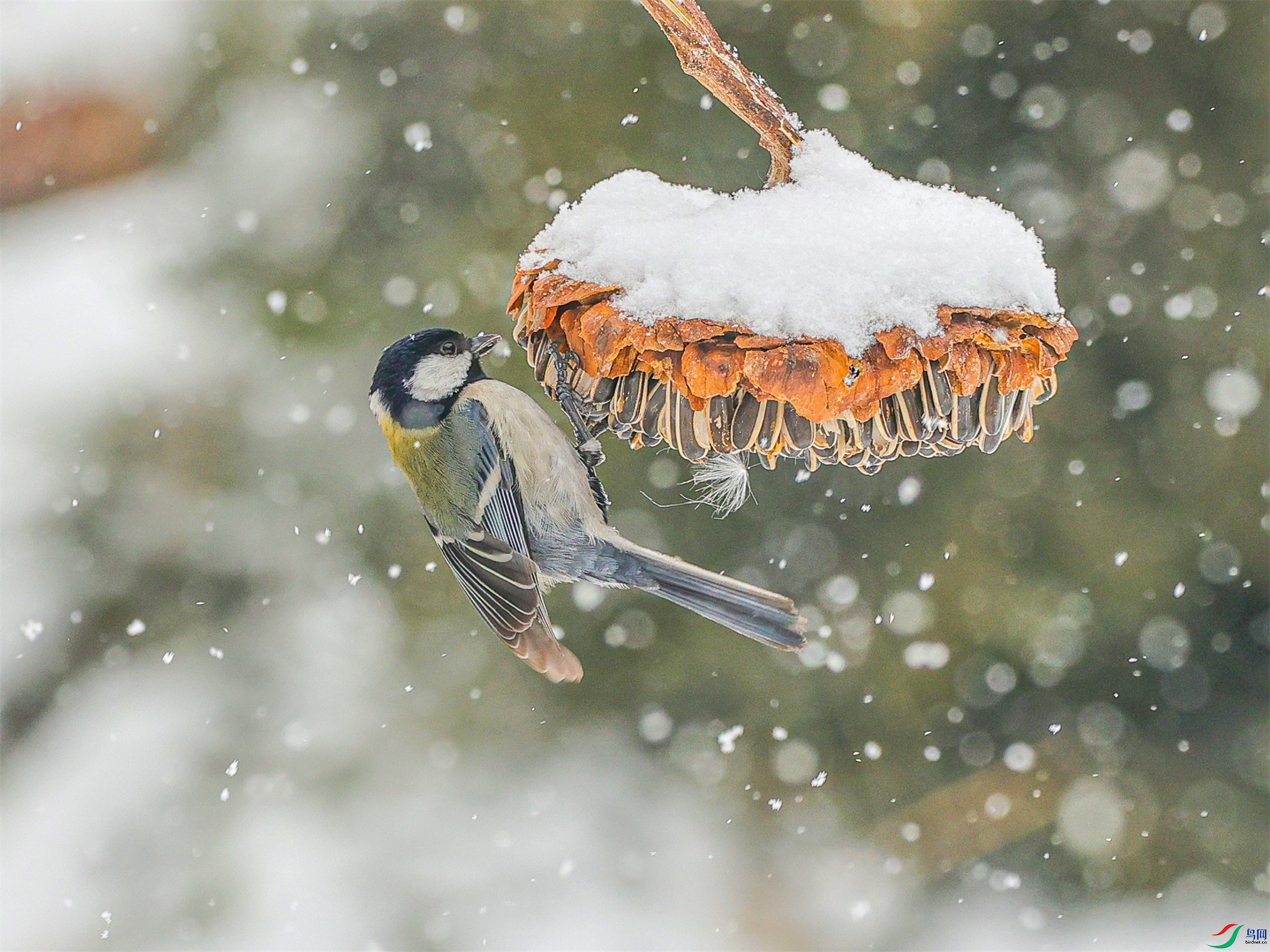 1K3A5429 ����1.jpg