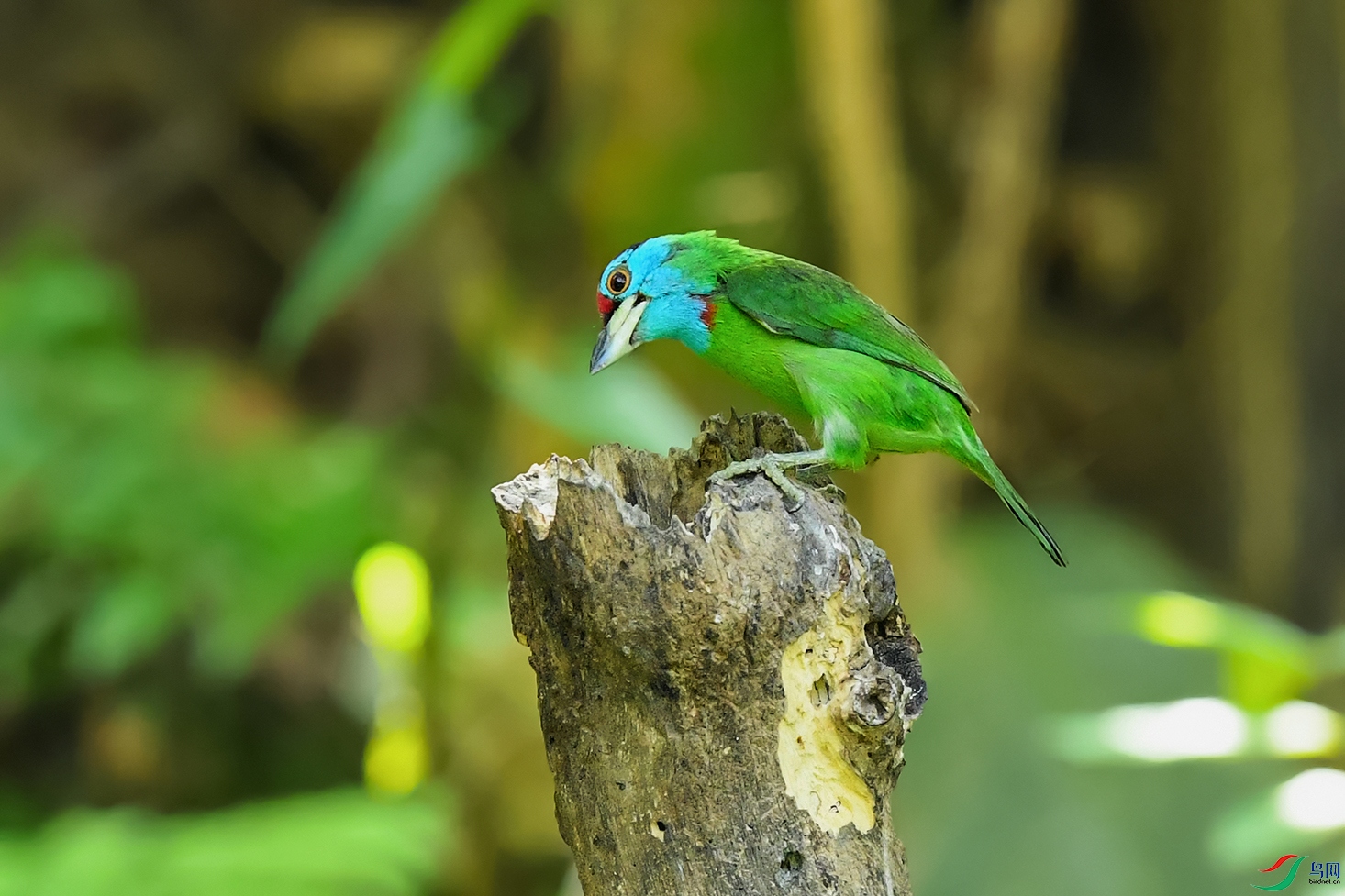 DSC_2314_DxOa3.jpg