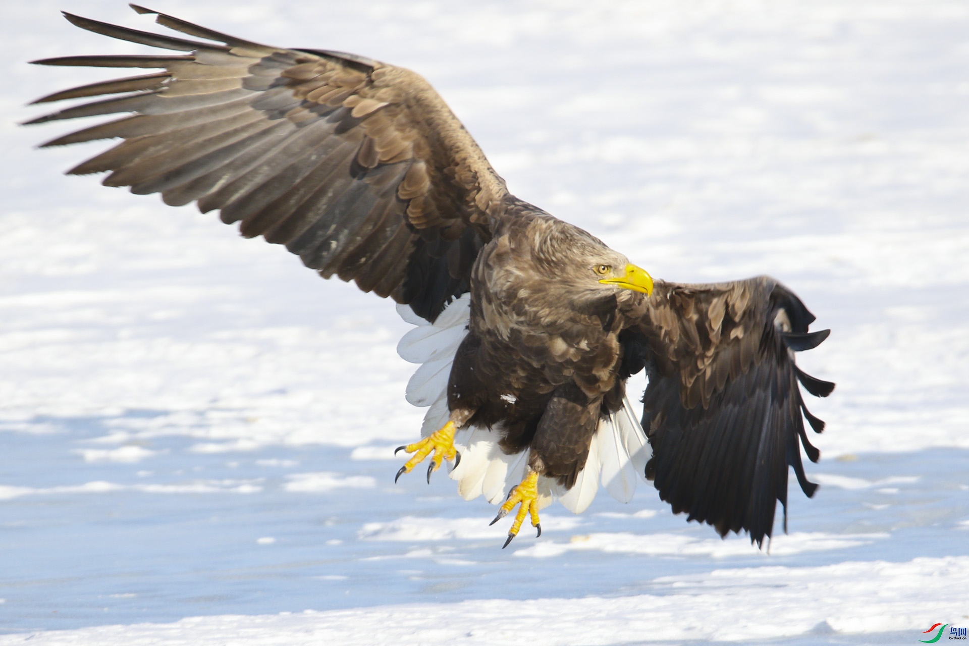 IMG_4266-1-1.jpg