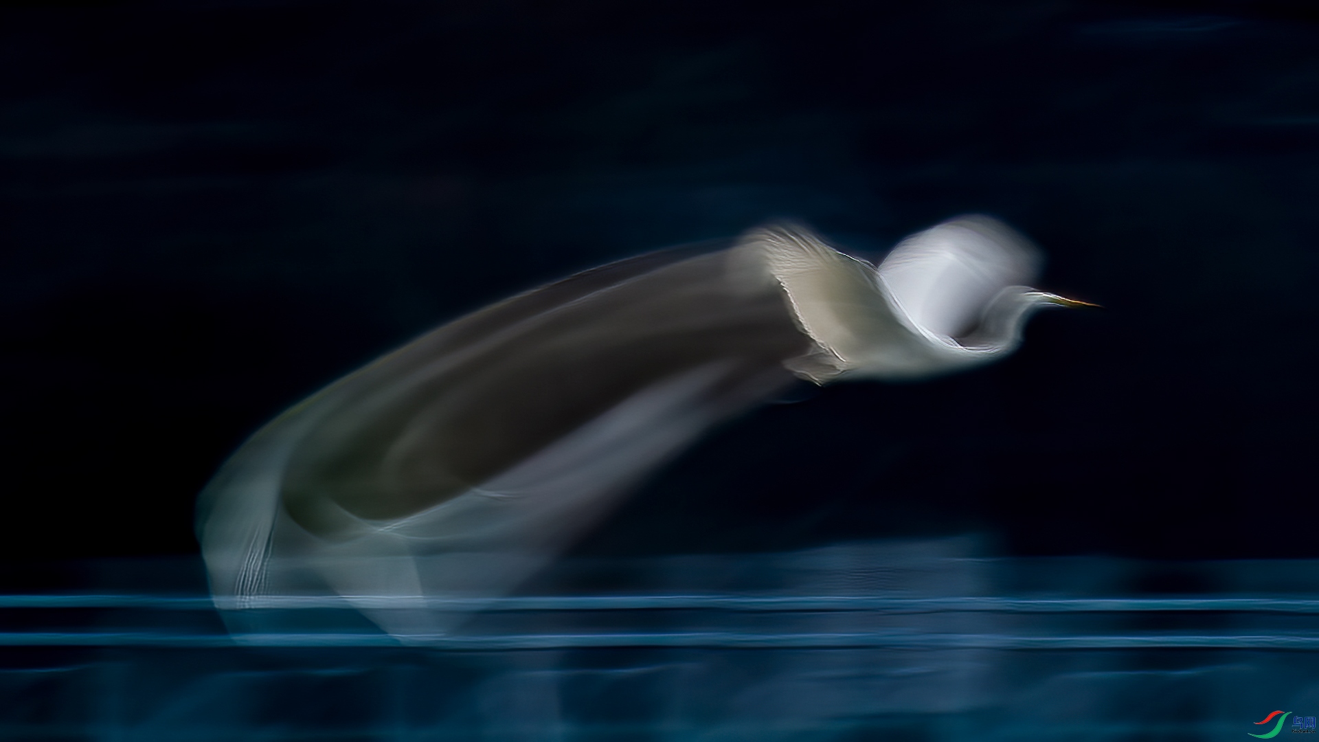 _V1Q0123.jpg