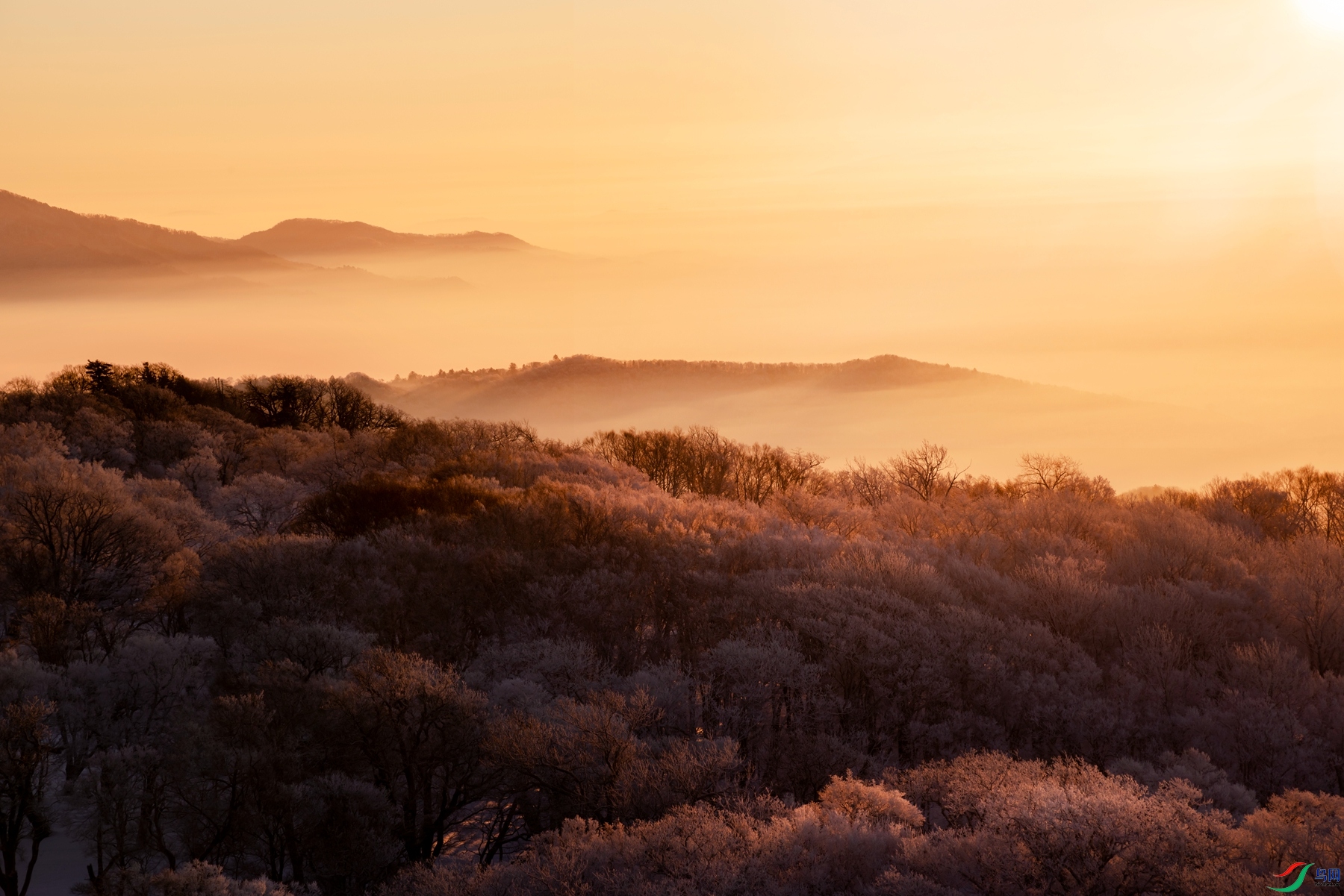 DSC_4489 ����_����.jpg